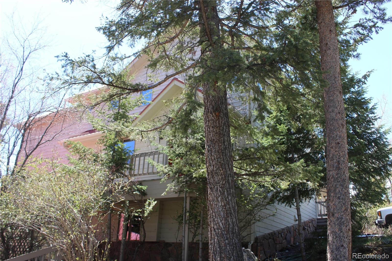 MLS Image #4 for 28650  cavan lane,evergreen, Colorado
