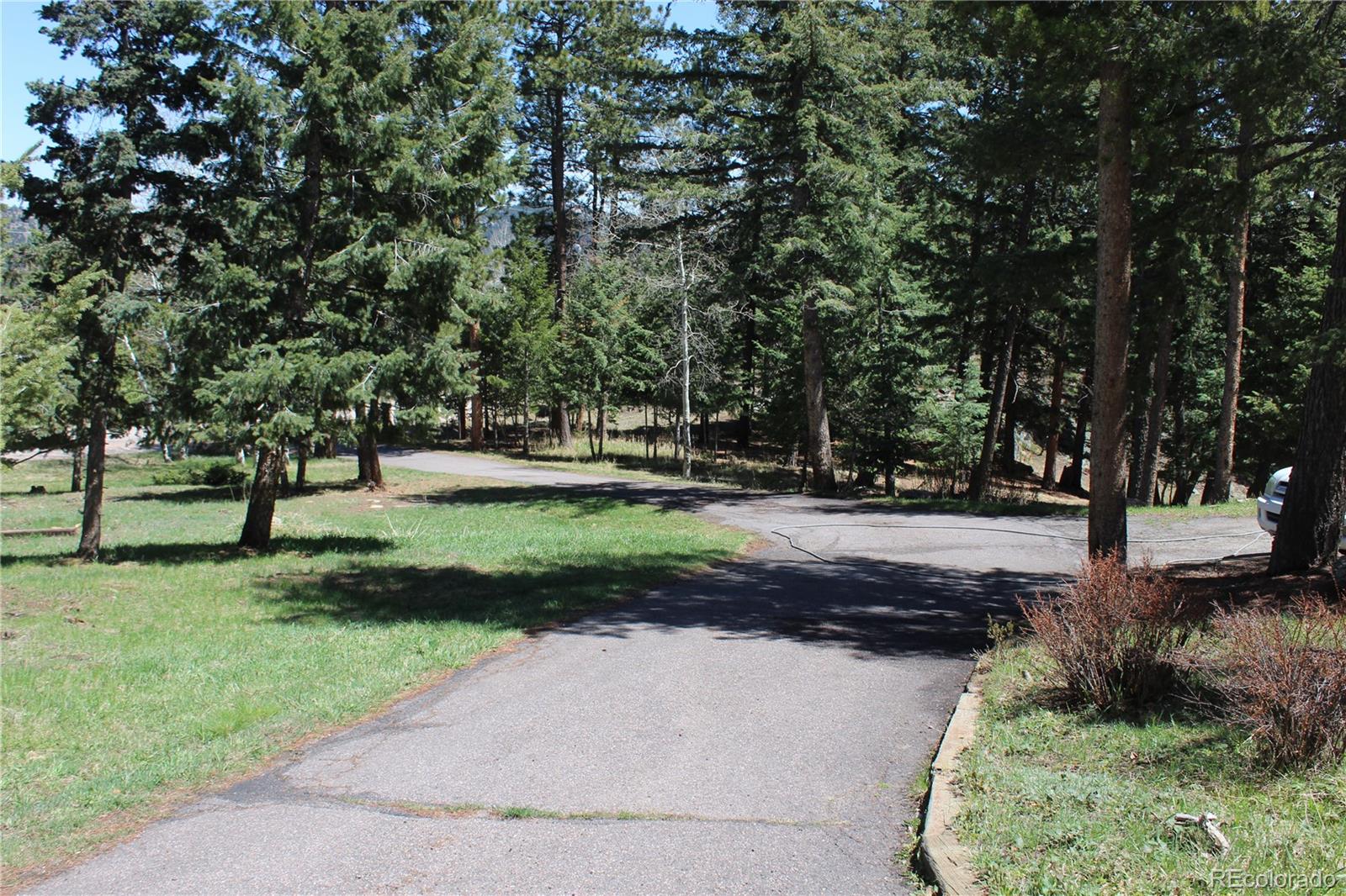 MLS Image #5 for 28650  cavan lane,evergreen, Colorado