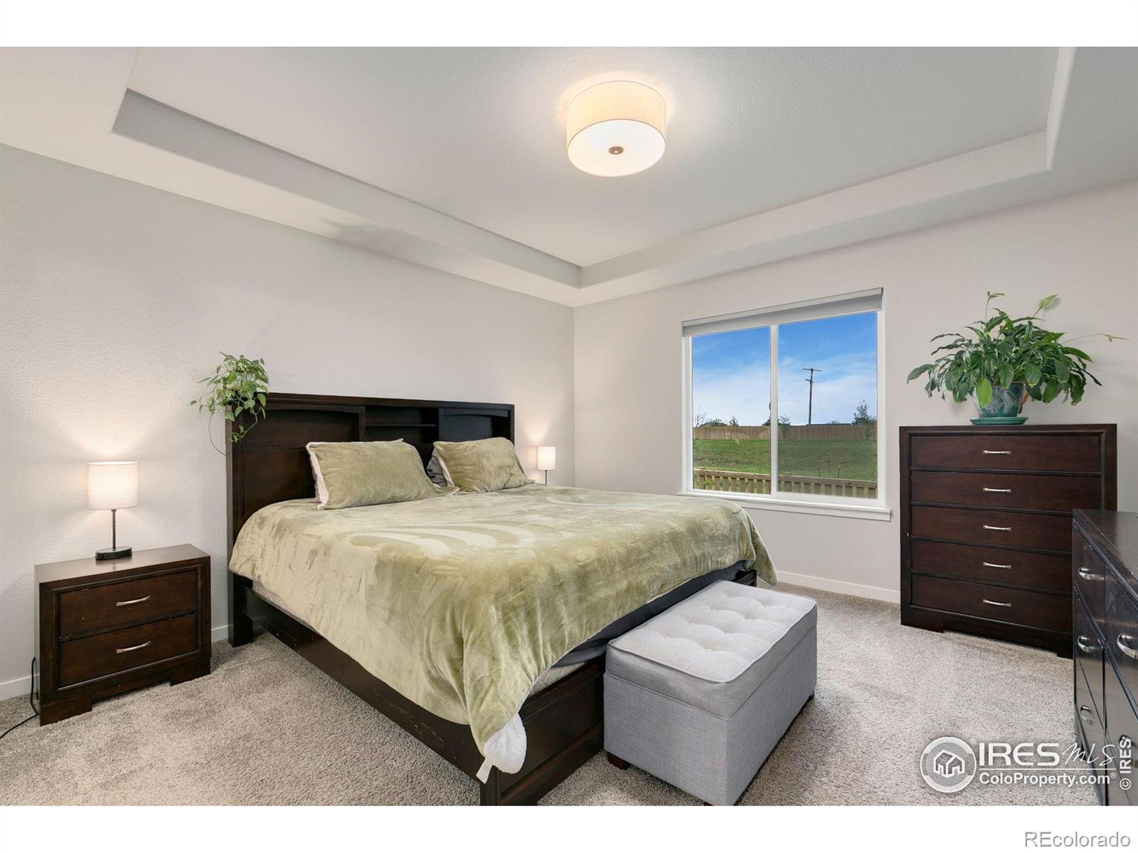 MLS Image #15 for 7050  sage meadows drive,wellington, Colorado