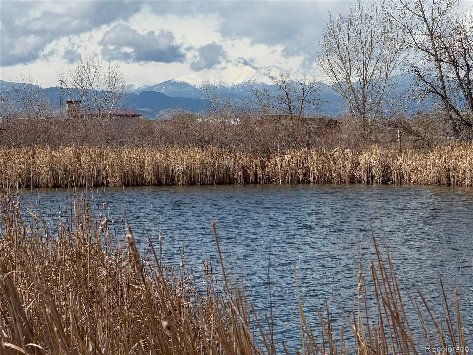 MLS Image #17 for 10676  forester place,longmont, Colorado