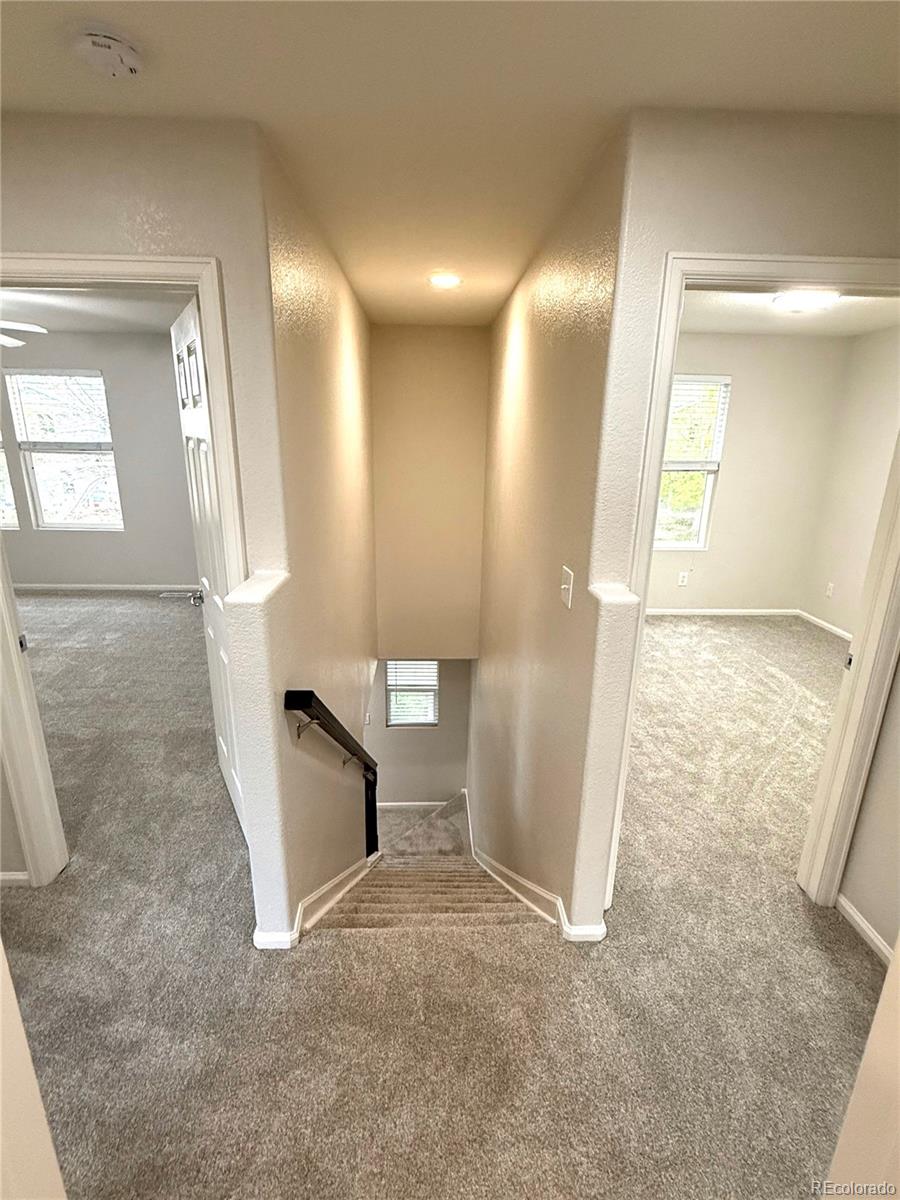 MLS Image #35 for 10676  forester place,longmont, Colorado