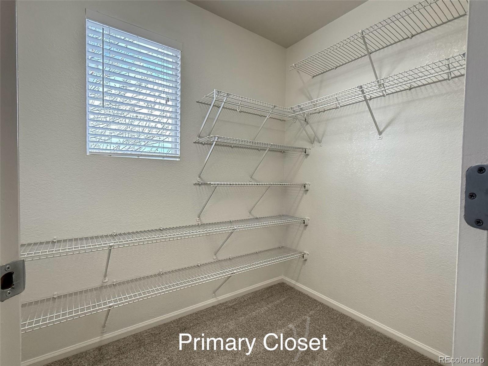 MLS Image #7 for 10676  forester place,longmont, Colorado