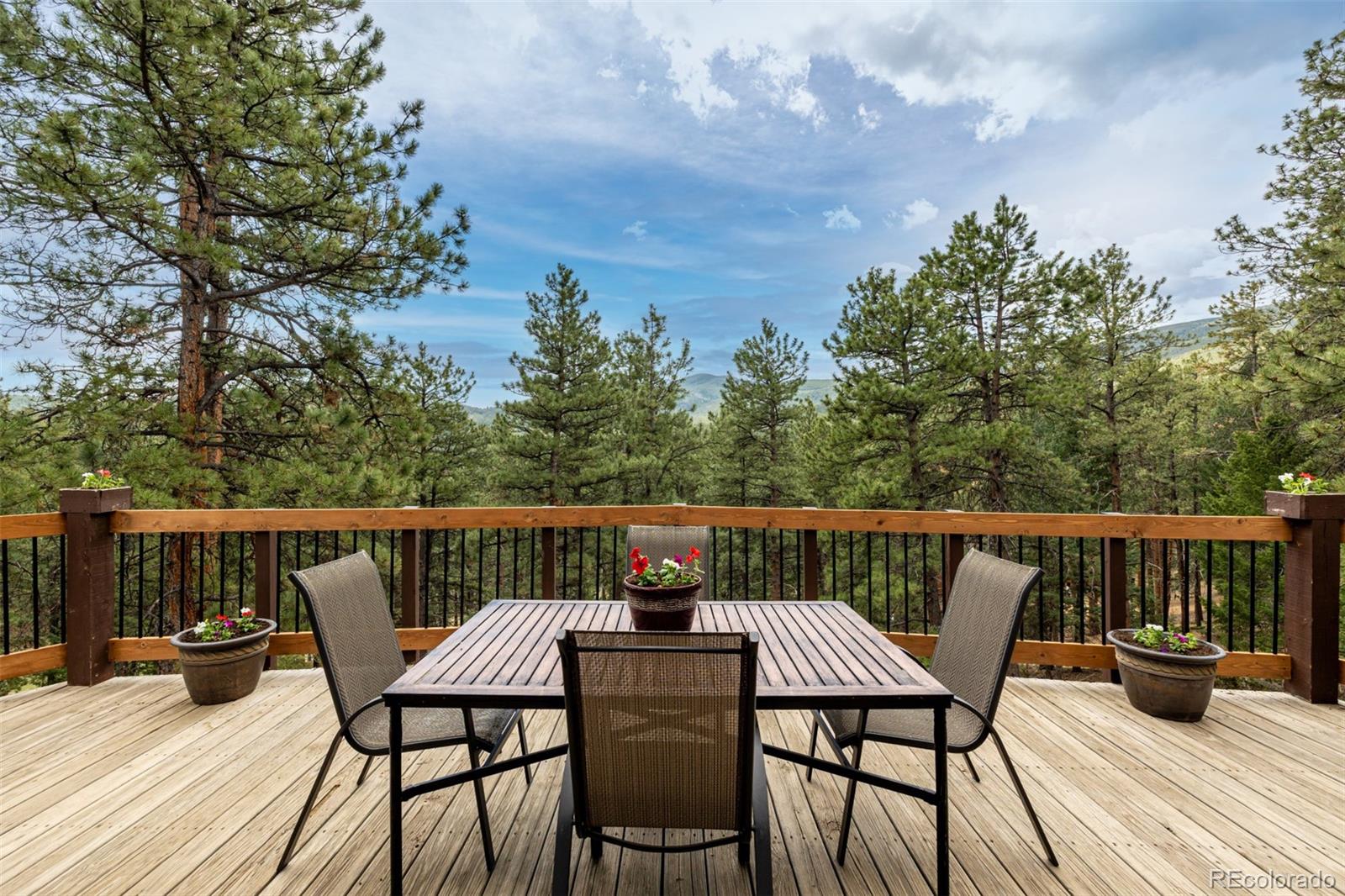 MLS Image #17 for 54  zaza lane,evergreen, Colorado