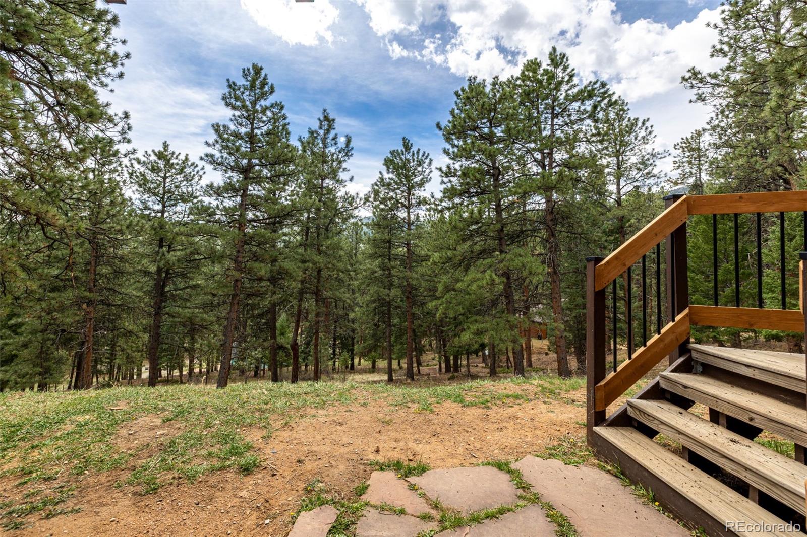 MLS Image #20 for 54  zaza lane,evergreen, Colorado