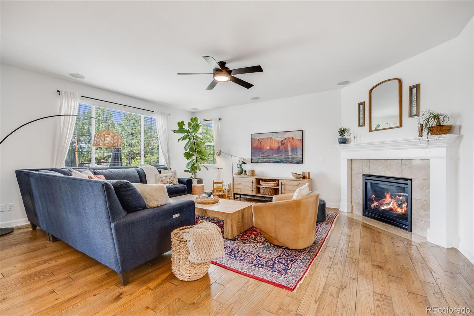 MLS Image #15 for 703  tiger lily way,highlands ranch, Colorado
