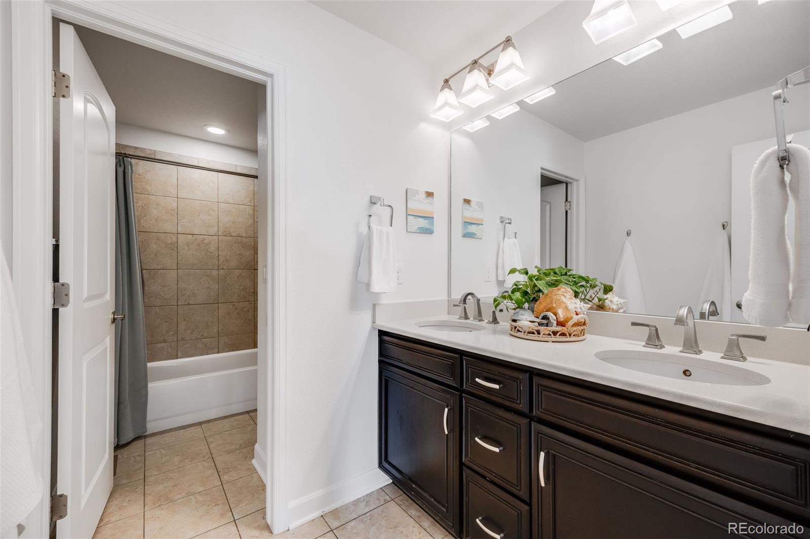 MLS Image #25 for 703  tiger lily way,highlands ranch, Colorado