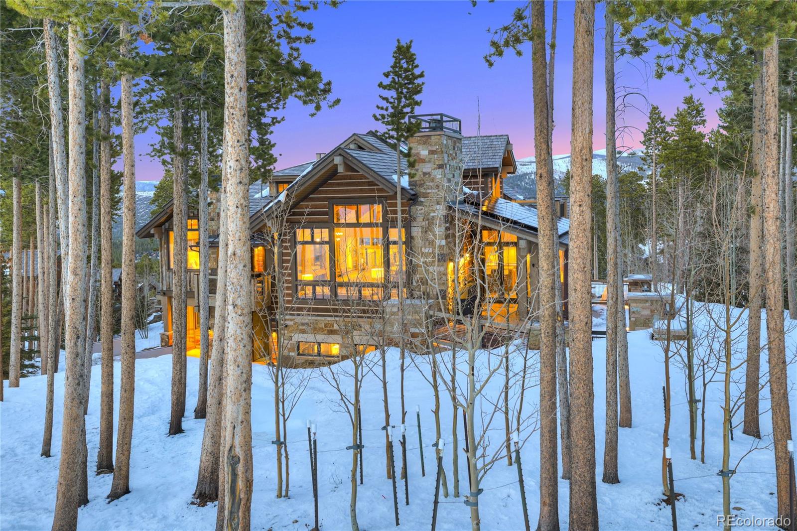 MLS Image #8 for 422  timber trail road,breckenridge, Colorado