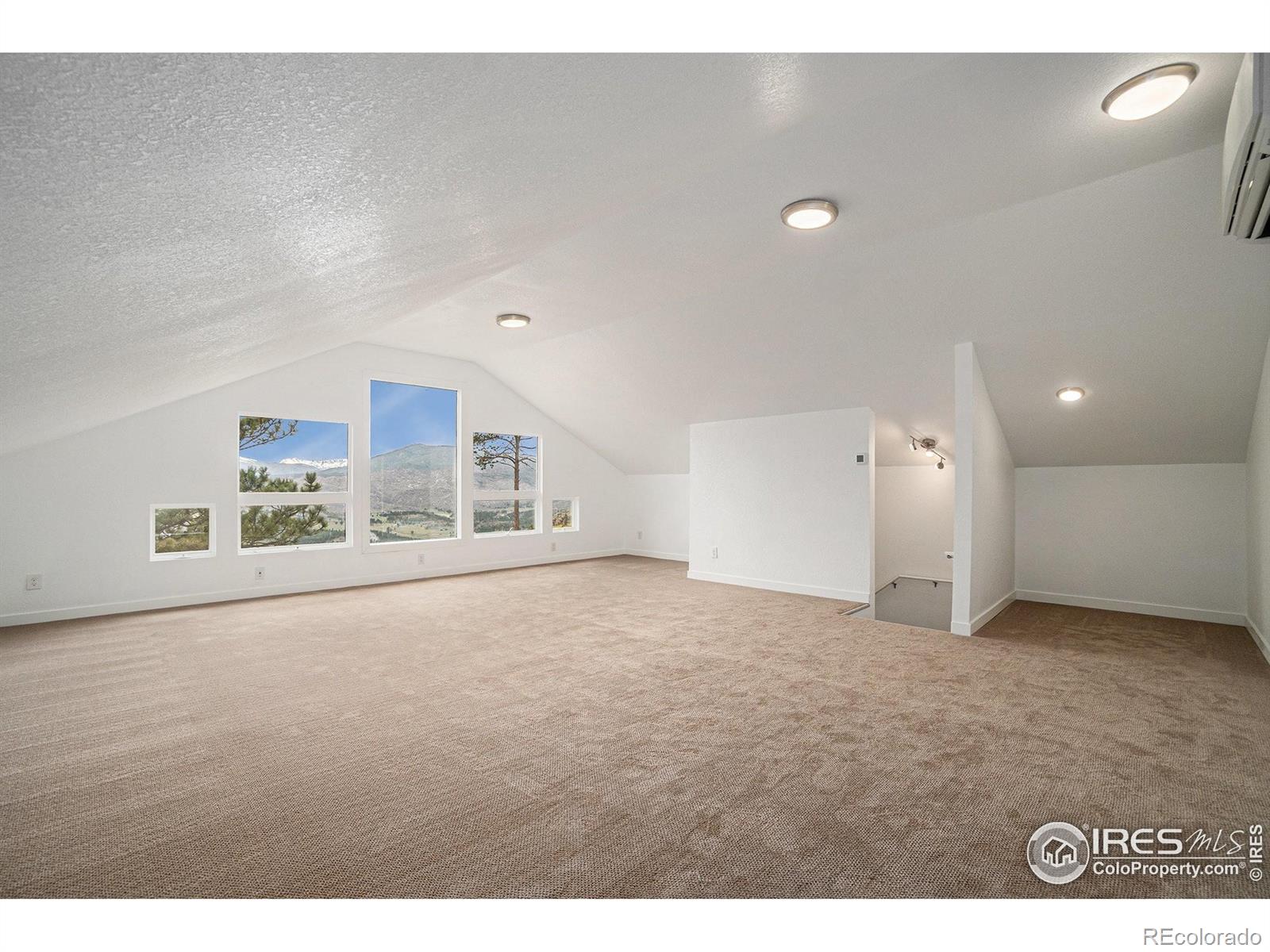 MLS Image #28 for 552  blue grouse lane,bellvue, Colorado