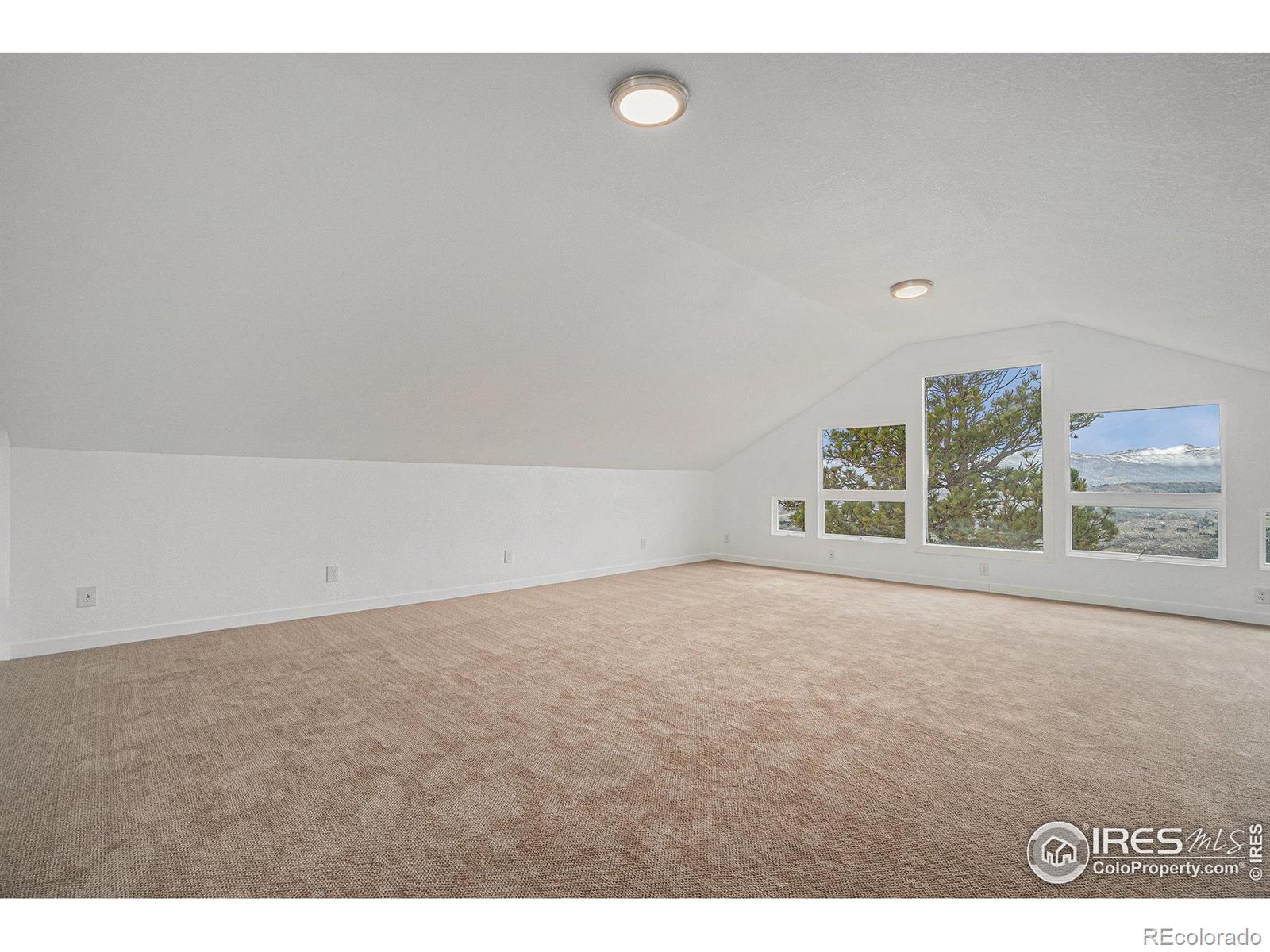 MLS Image #29 for 552  blue grouse lane,bellvue, Colorado