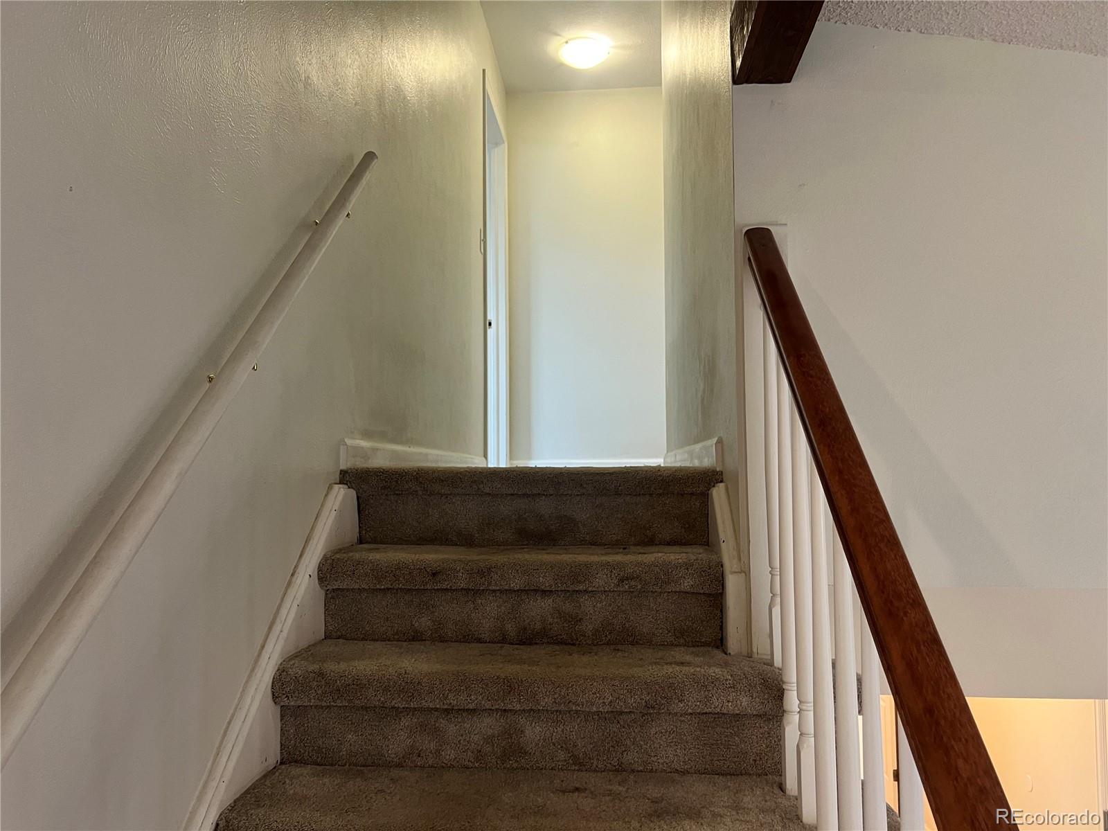 MLS Image #13 for 7906 w walker drive,littleton, Colorado