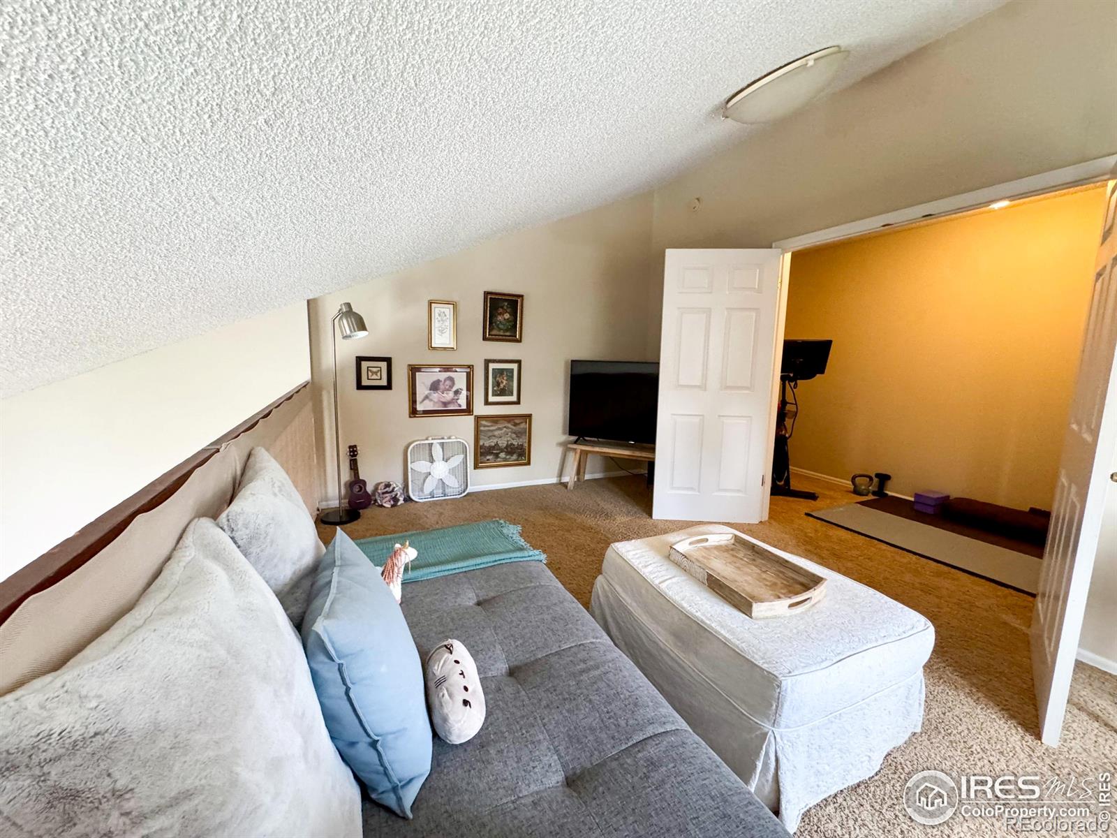 MLS Image #29 for 6899  countryside lane,niwot, Colorado