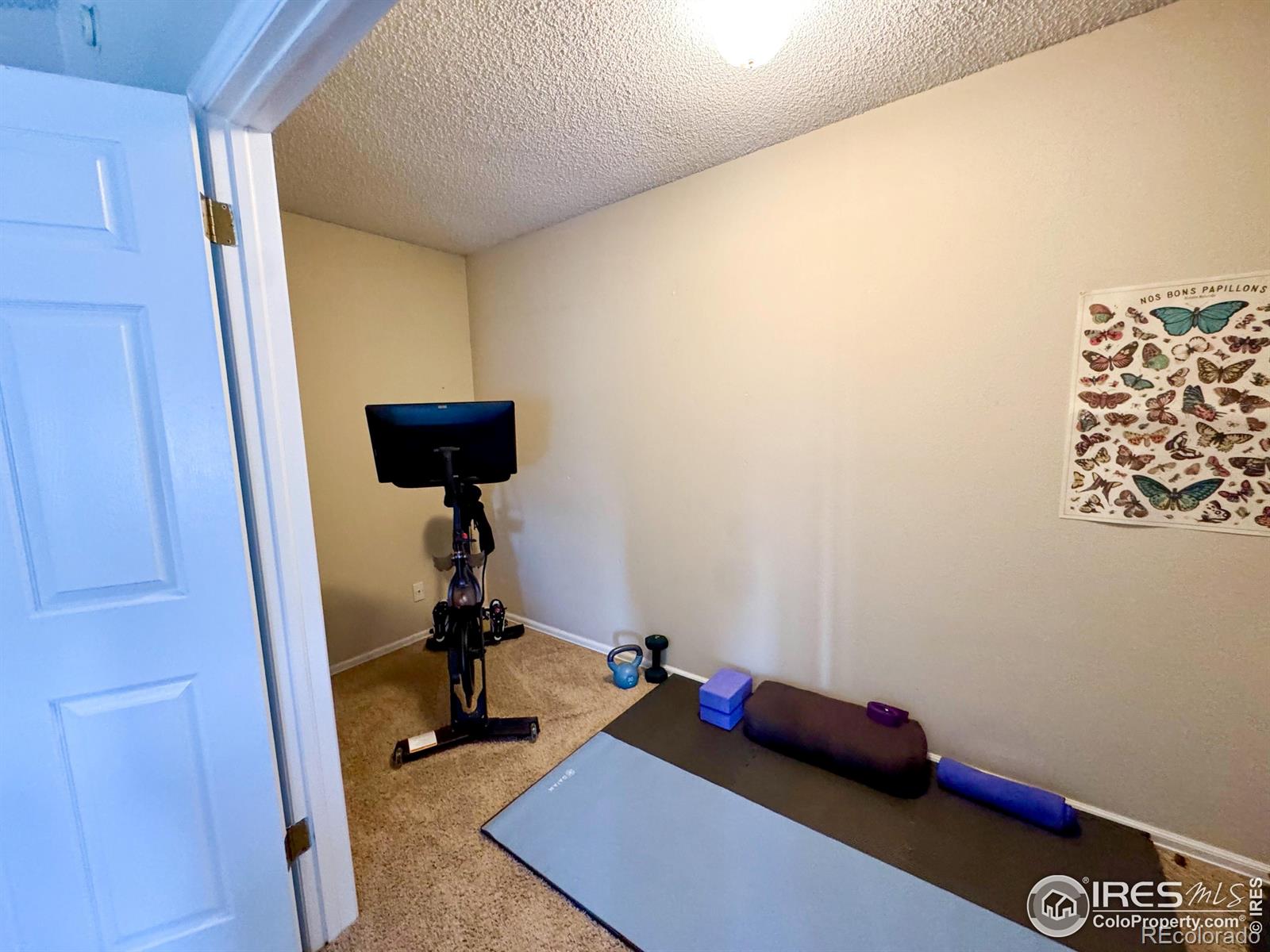 MLS Image #31 for 6899  countryside lane,niwot, Colorado