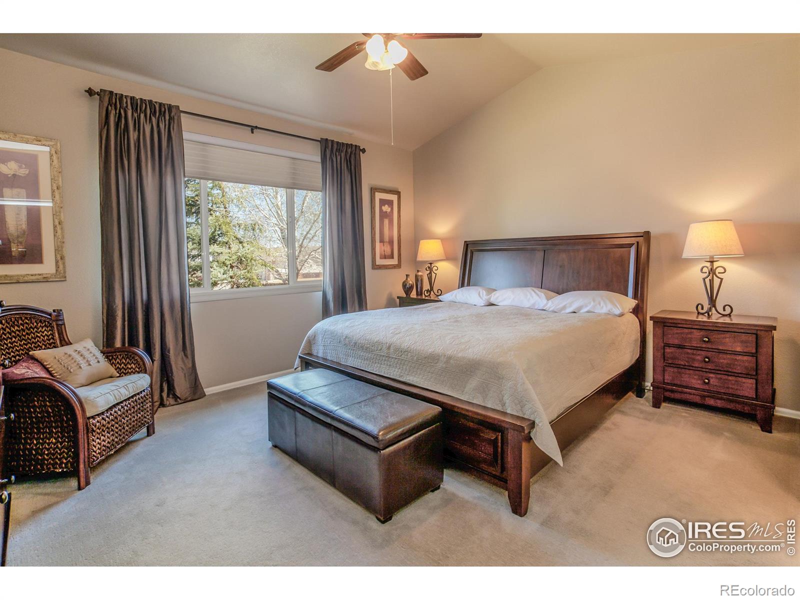 MLS Image #14 for 6478  mayfair avenue,timnath, Colorado