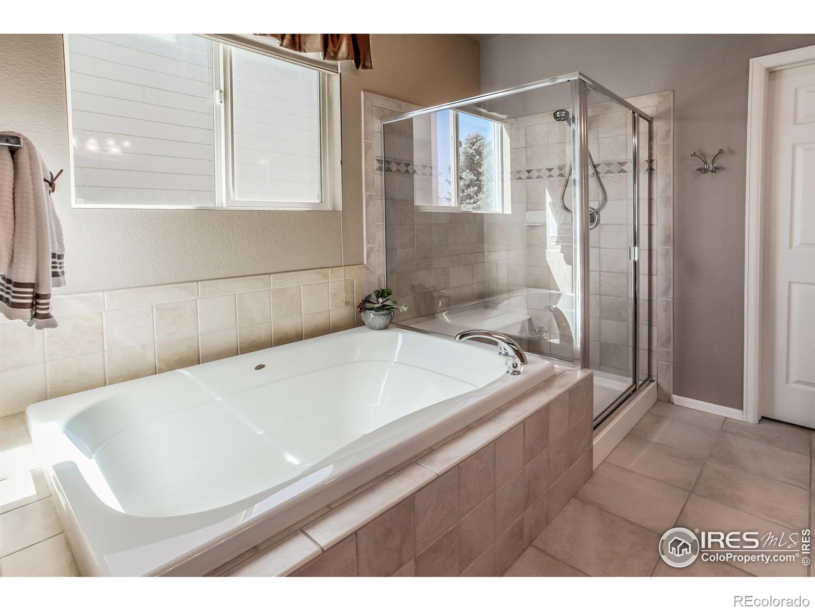MLS Image #15 for 6478  mayfair avenue,timnath, Colorado