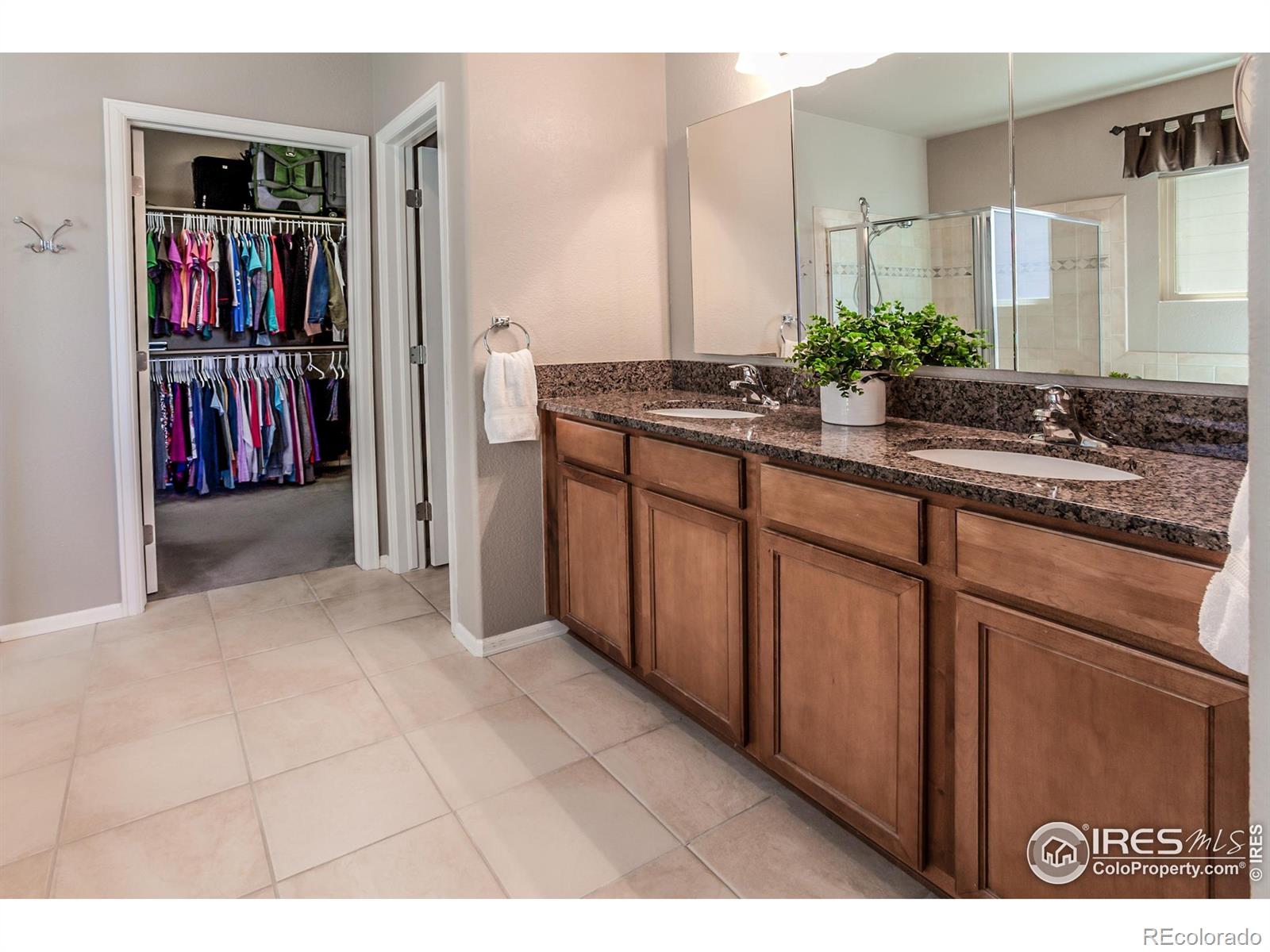 MLS Image #16 for 6478  mayfair avenue,timnath, Colorado