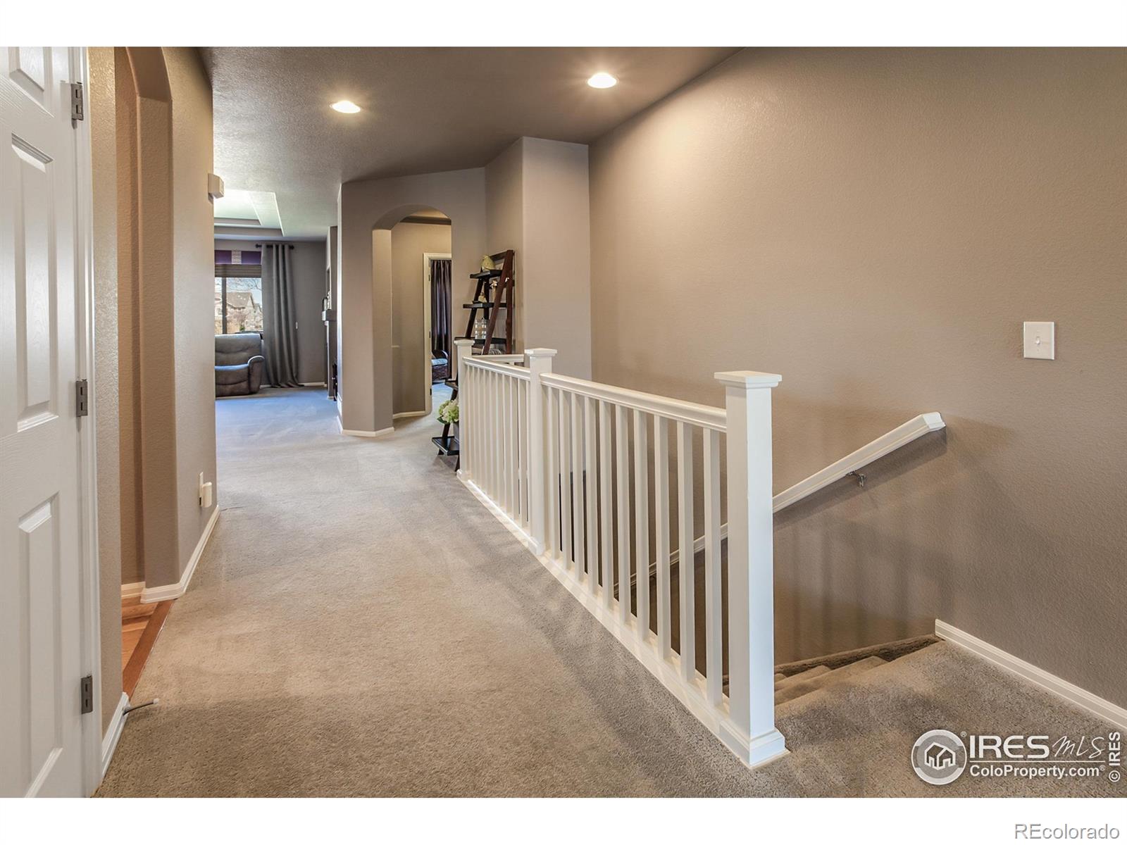 MLS Image #21 for 6478  mayfair avenue,timnath, Colorado