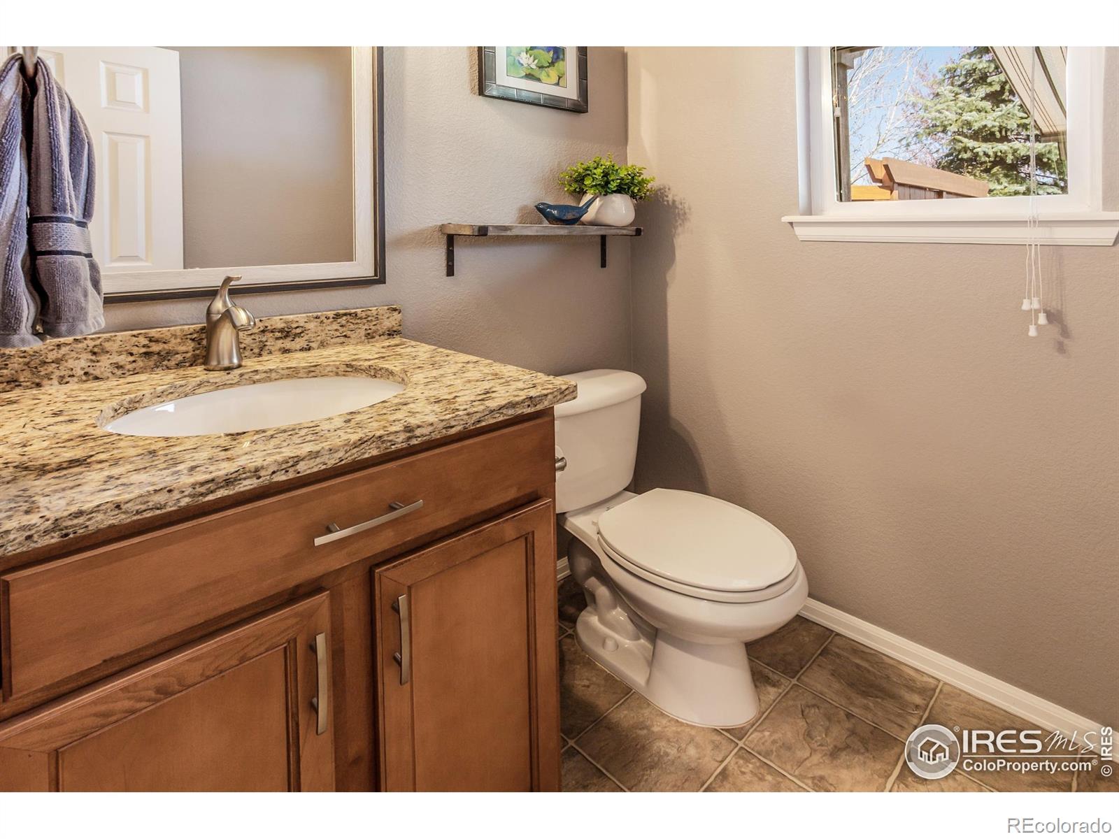MLS Image #23 for 6478  mayfair avenue,timnath, Colorado