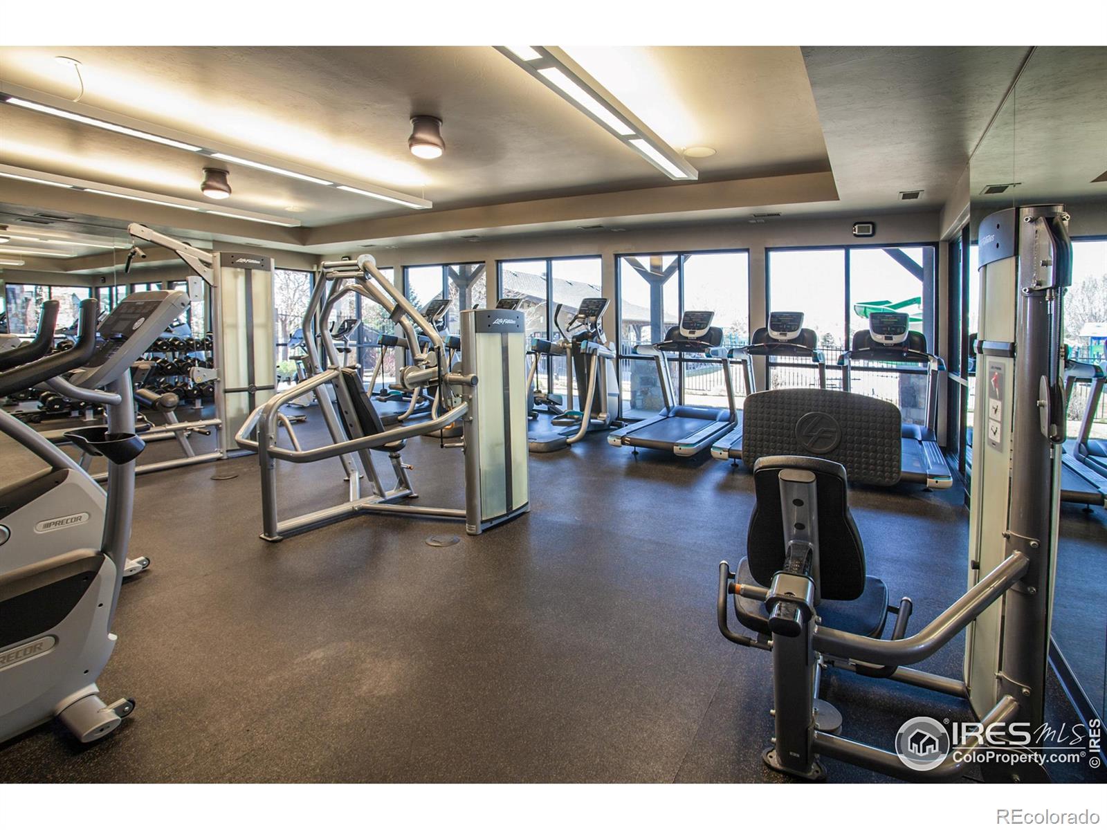 MLS Image #35 for 6478  mayfair avenue,timnath, Colorado