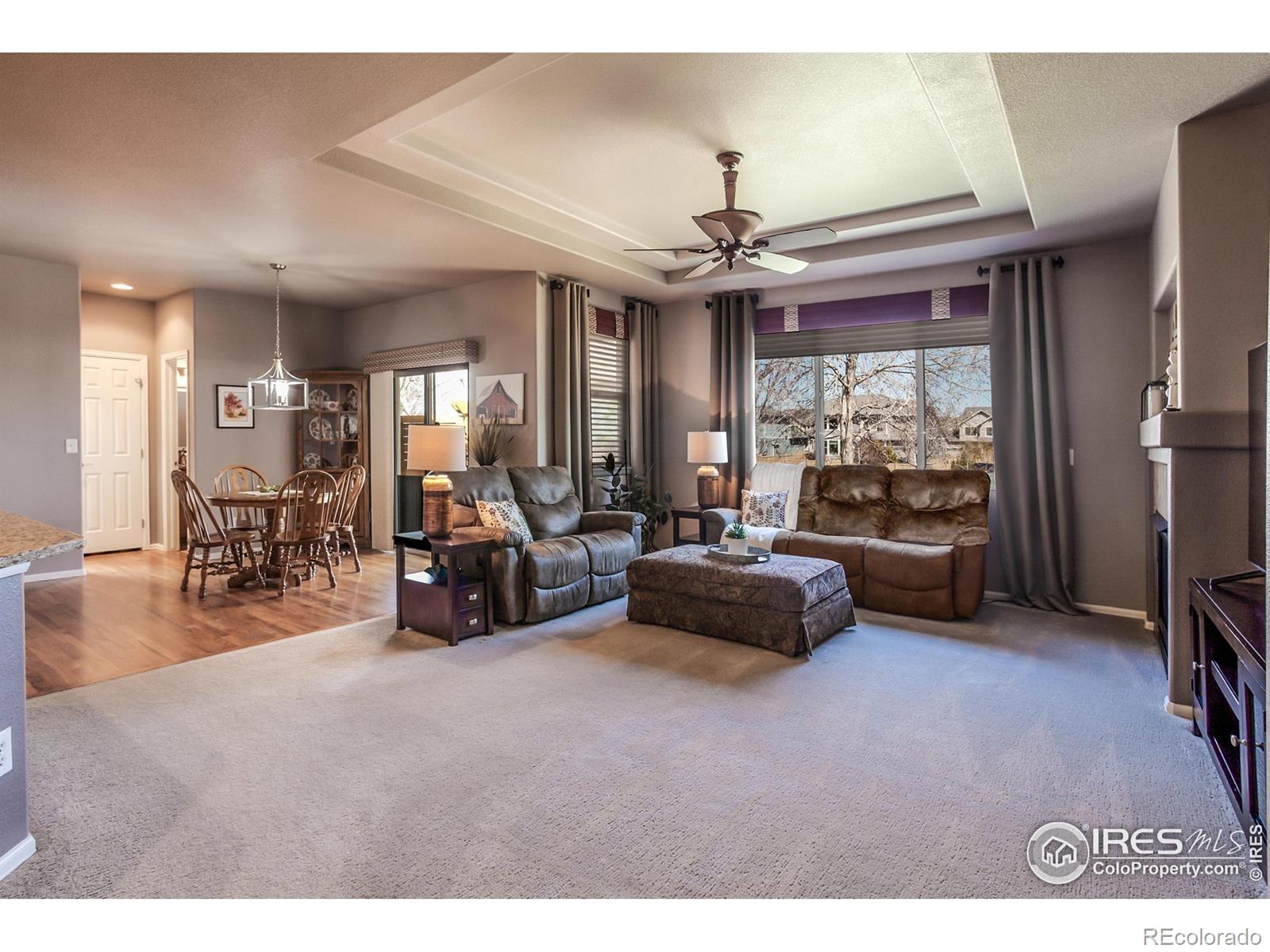 MLS Image #4 for 6478  mayfair avenue,timnath, Colorado