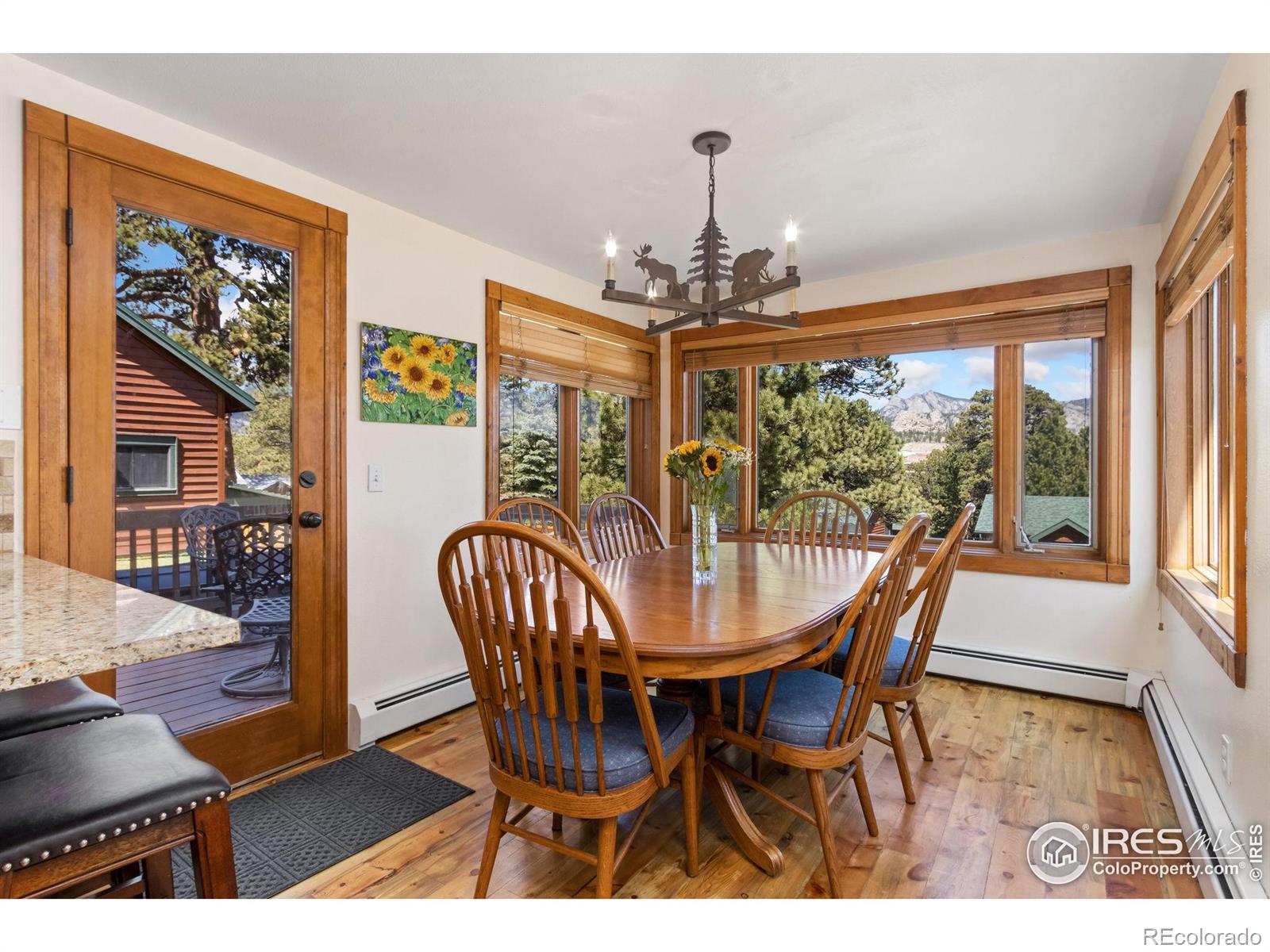 MLS Image #11 for 871  riverside drive,estes park, Colorado