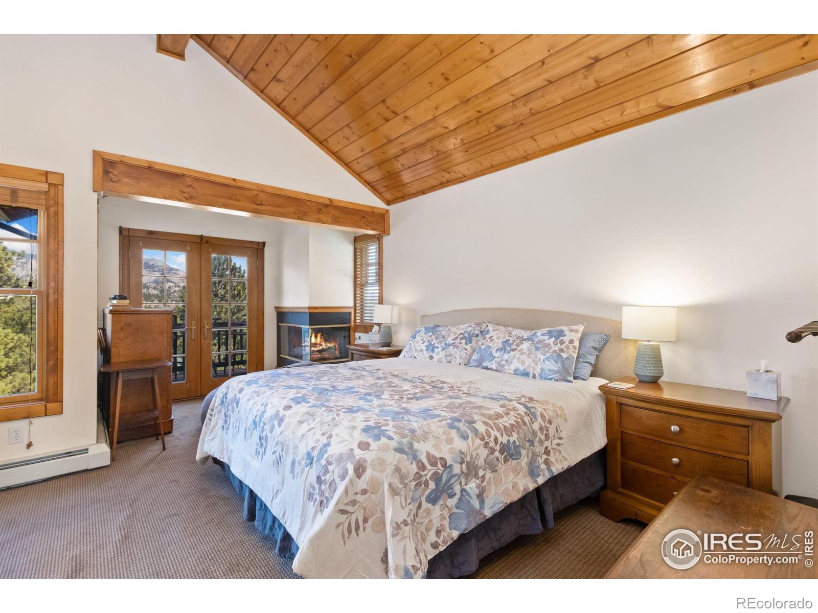 MLS Image #18 for 871  riverside drive,estes park, Colorado