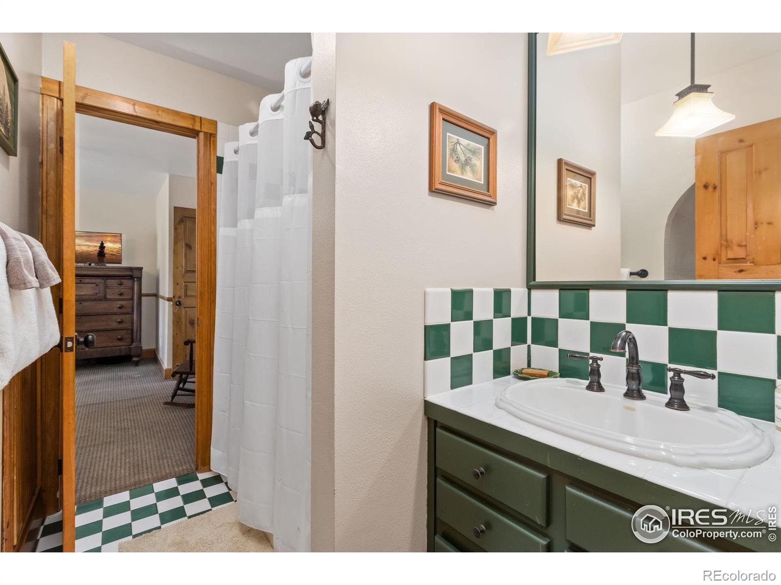 MLS Image #20 for 871  riverside drive,estes park, Colorado