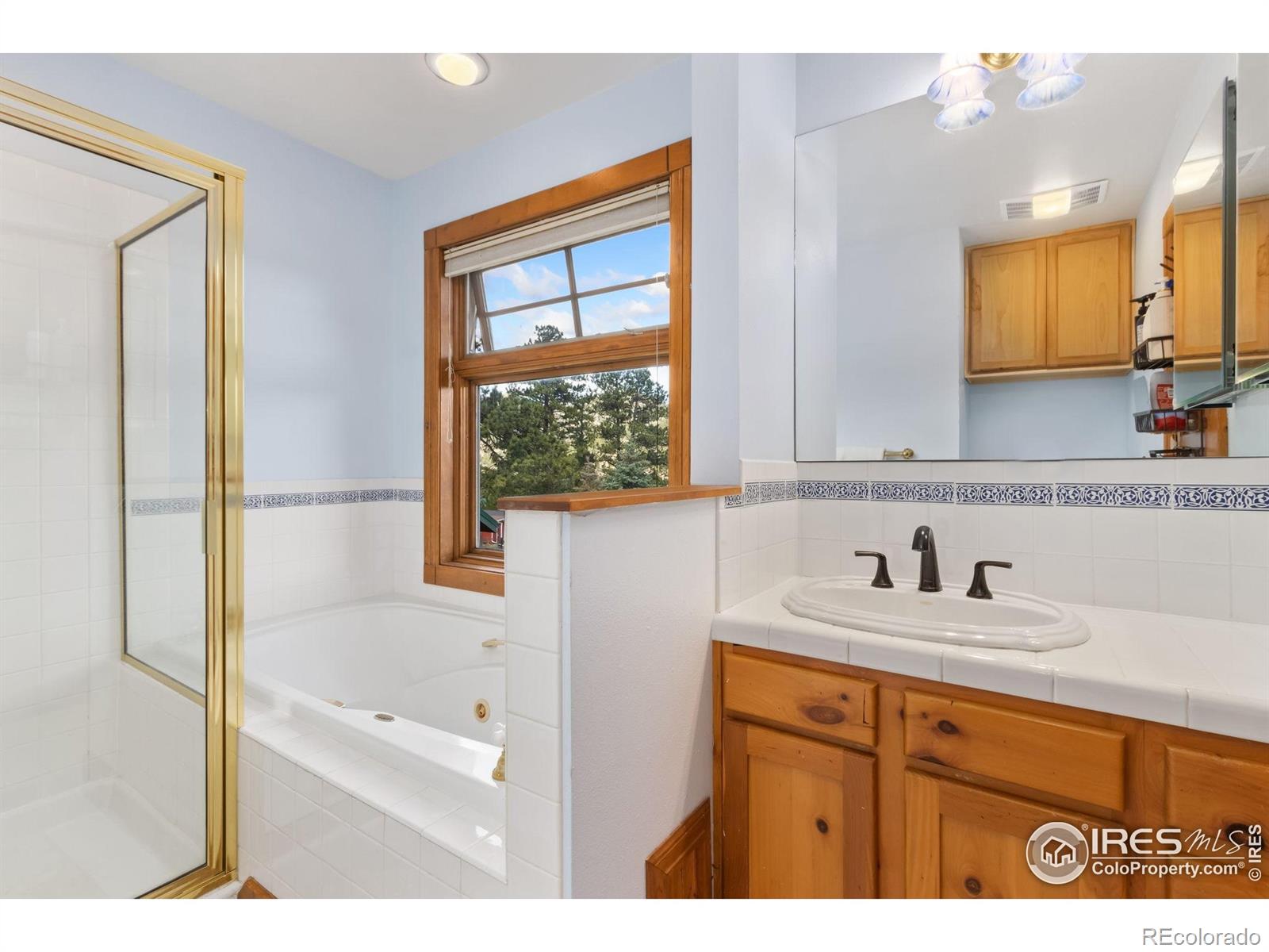 MLS Image #23 for 871  riverside drive,estes park, Colorado