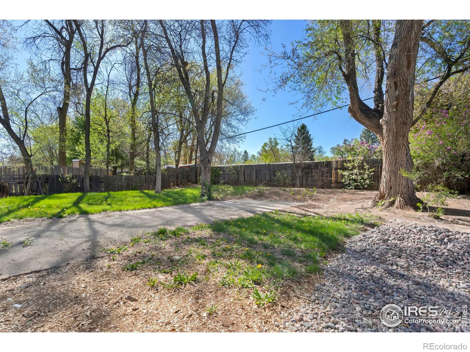 MLS Image #16 for 635 w prospect road,fort collins, Colorado