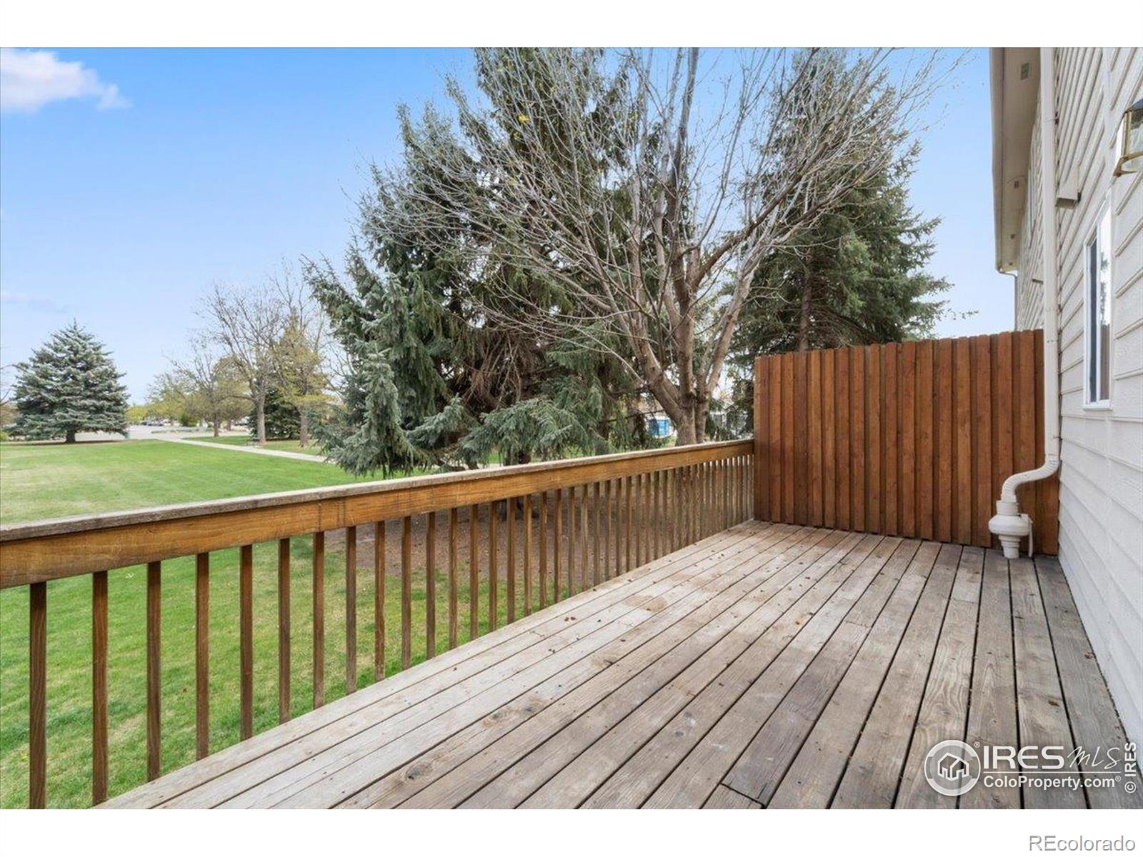 MLS Image #15 for 314  dean court,loveland, Colorado