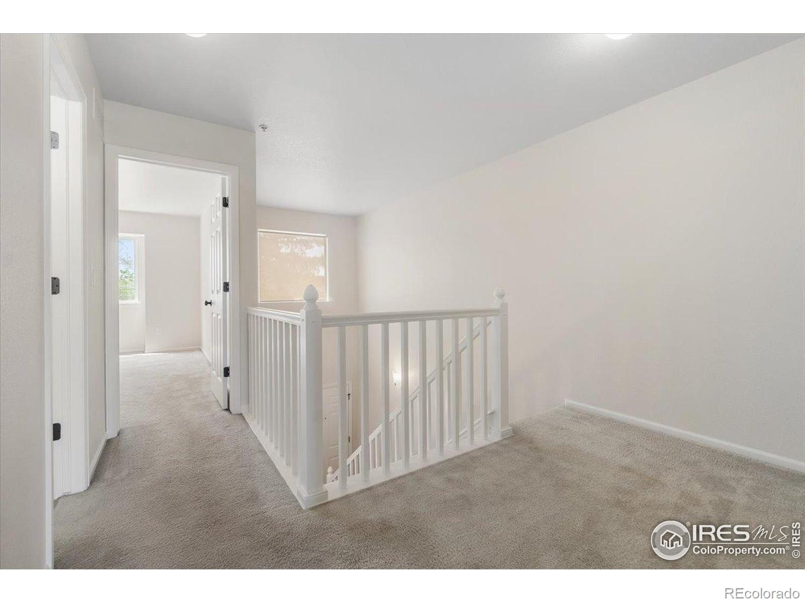 MLS Image #17 for 314  dean court,loveland, Colorado