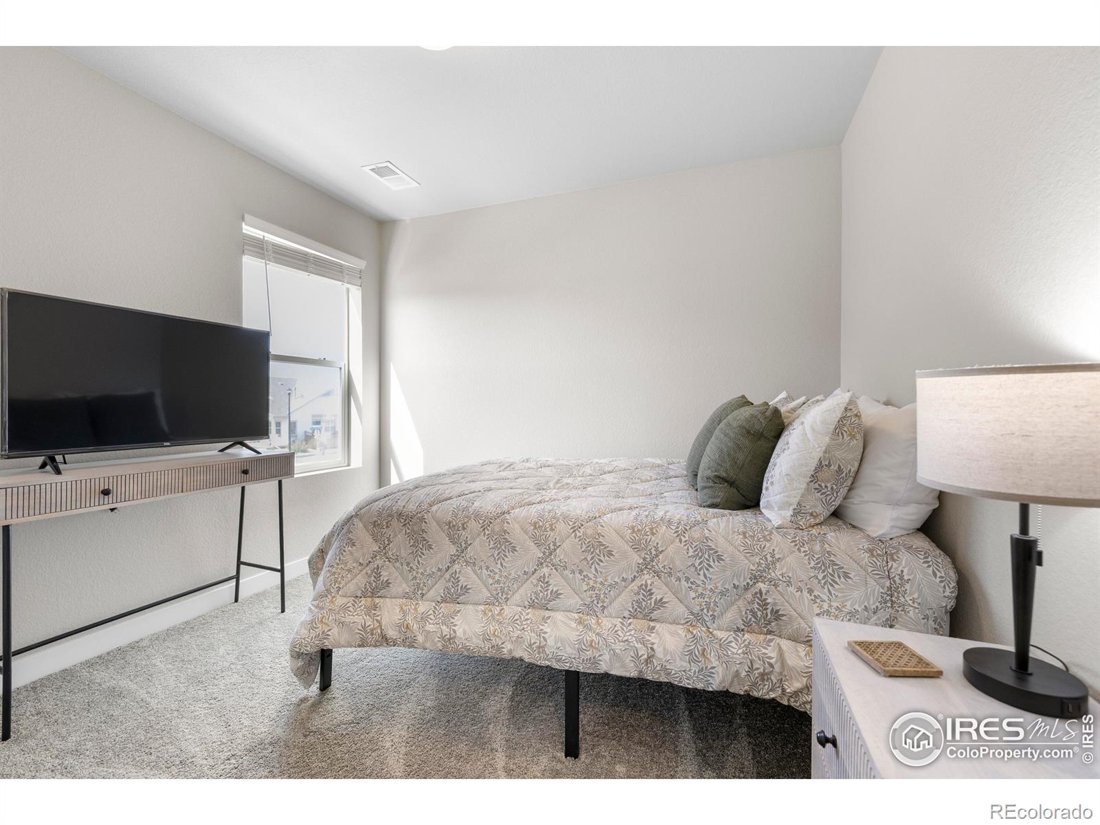 MLS Image #20 for 922  colorado river avenue,brighton, Colorado
