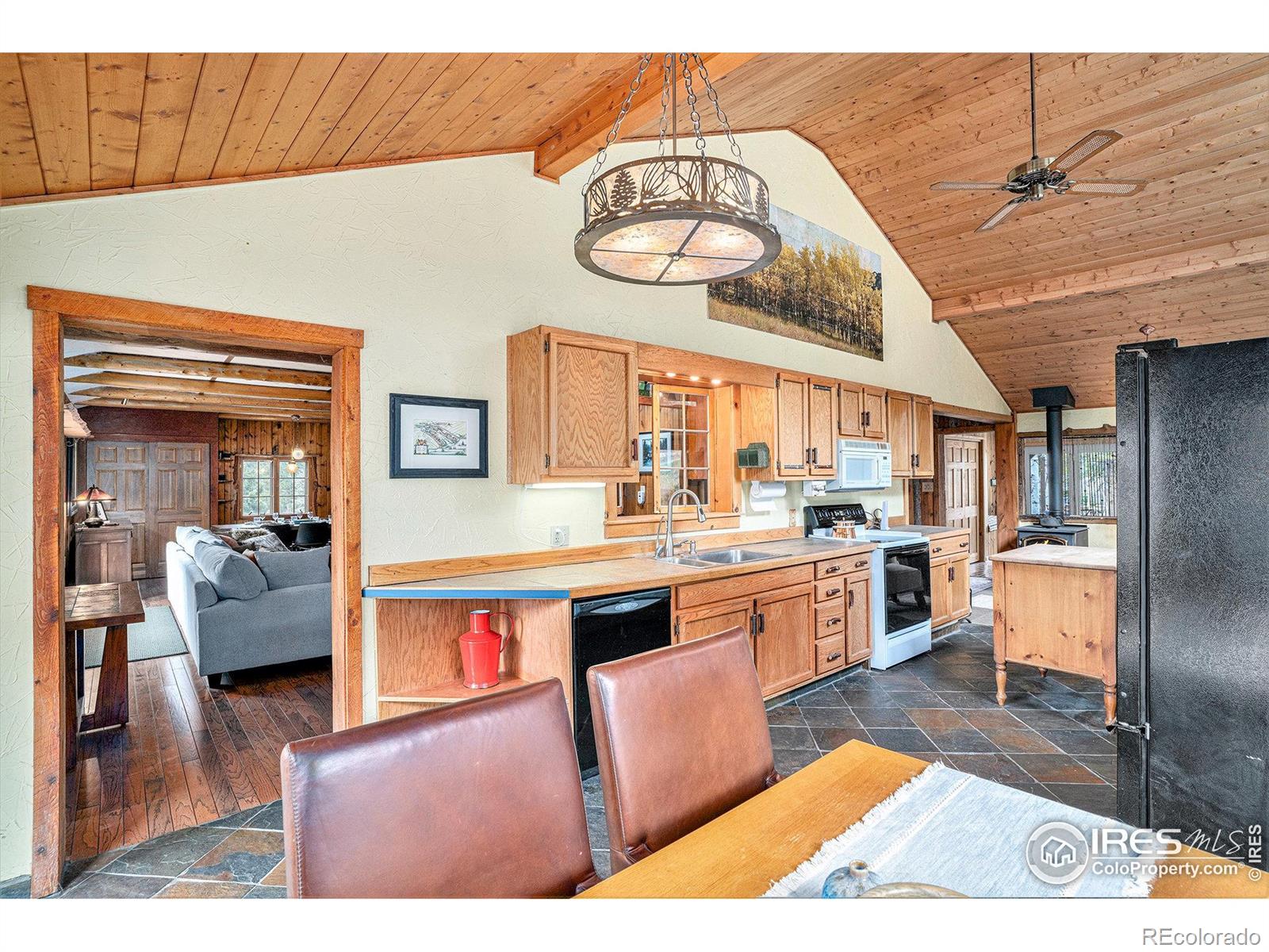 MLS Image #10 for 504  rustic road,bellvue, Colorado