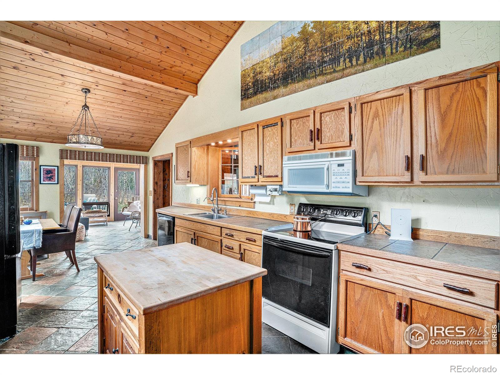 MLS Image #11 for 504  rustic road,bellvue, Colorado