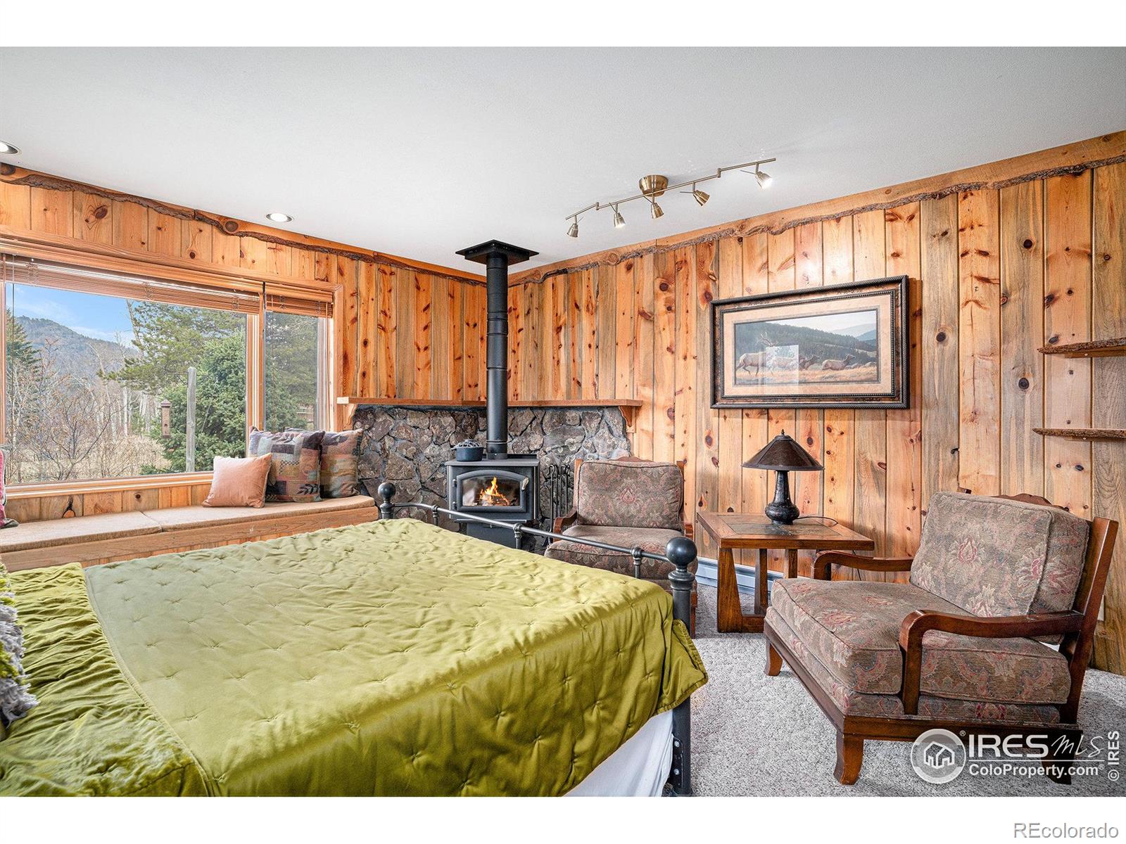MLS Image #18 for 504  rustic road,bellvue, Colorado