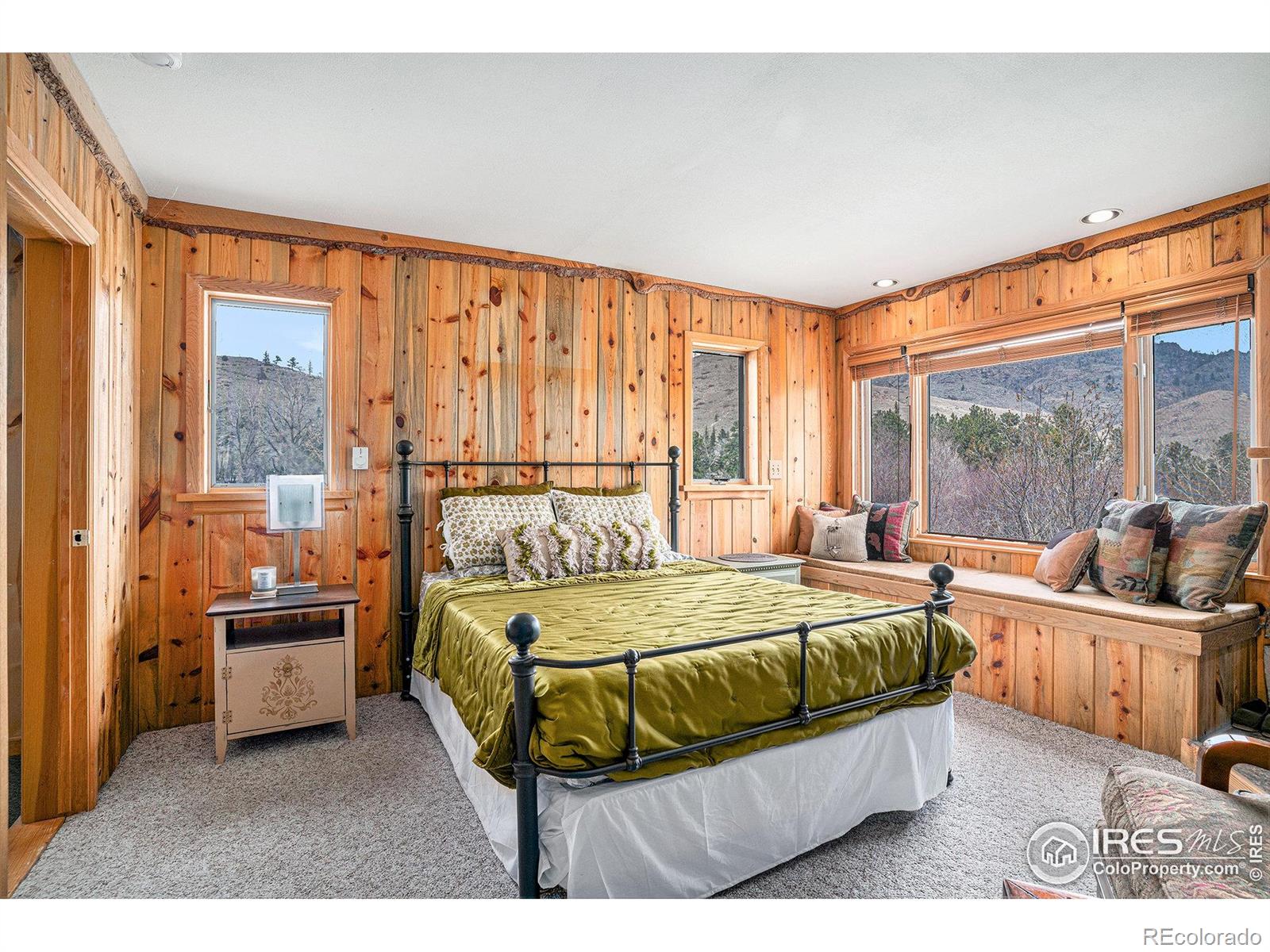 MLS Image #19 for 504  rustic road,bellvue, Colorado