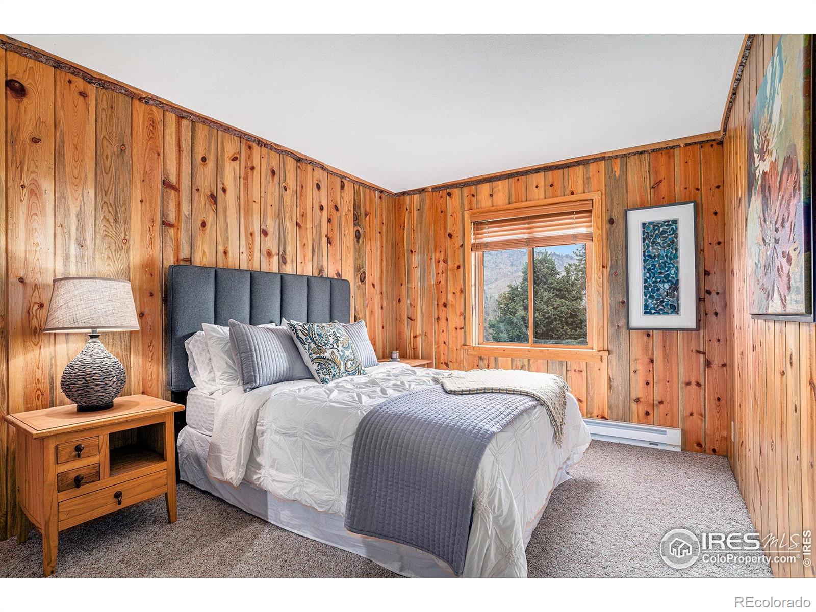MLS Image #21 for 504  rustic road,bellvue, Colorado