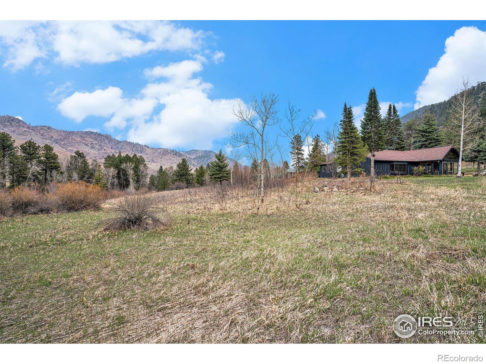 MLS Image #34 for 504  rustic road,bellvue, Colorado