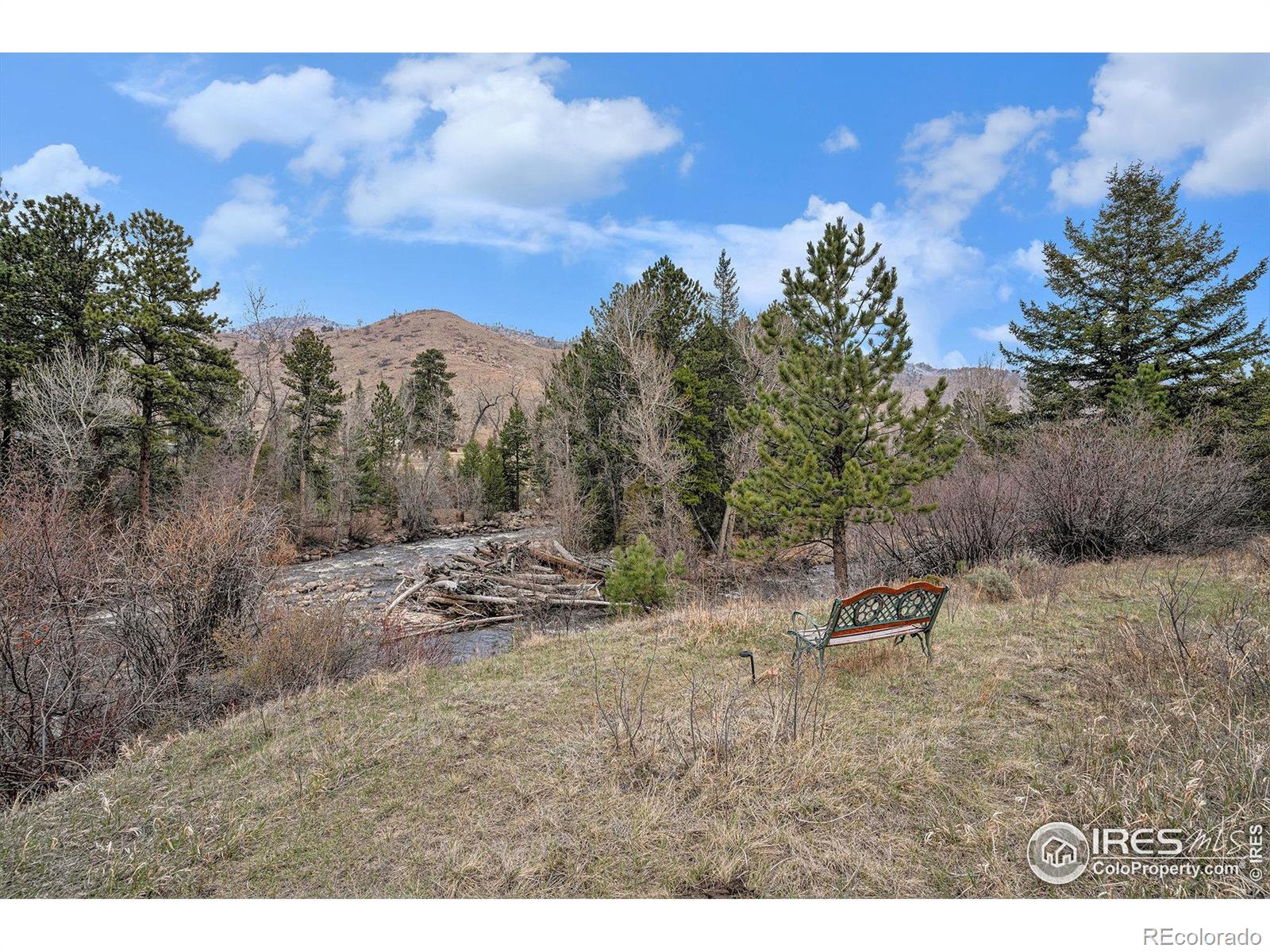 MLS Image #6 for 504  rustic road,bellvue, Colorado