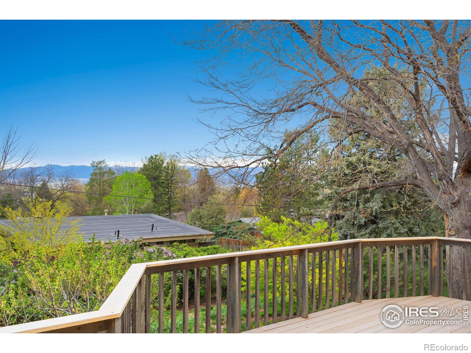 MLS Image #12 for 1523  country club road,fort collins, Colorado