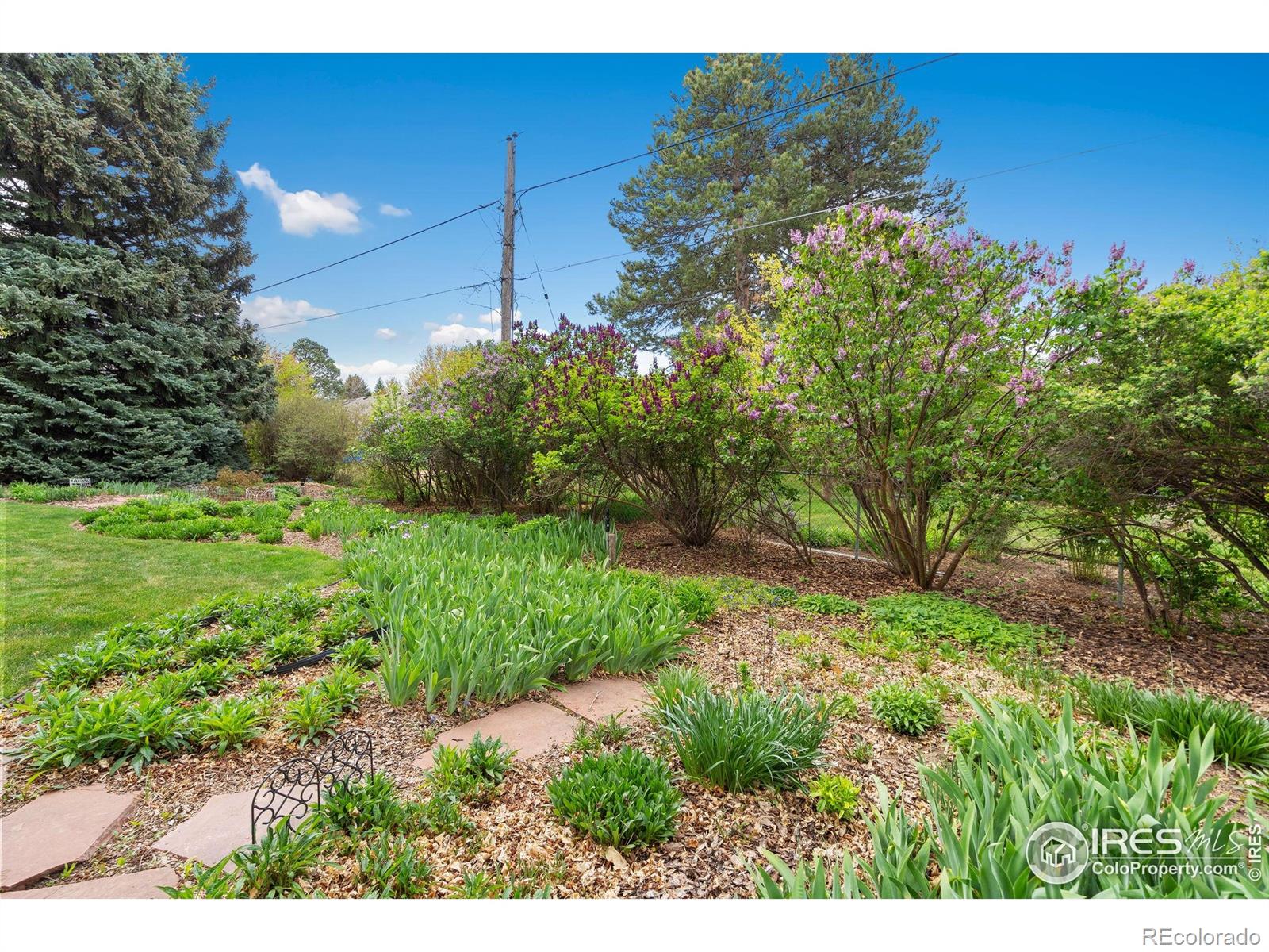 MLS Image #33 for 1523  country club road,fort collins, Colorado