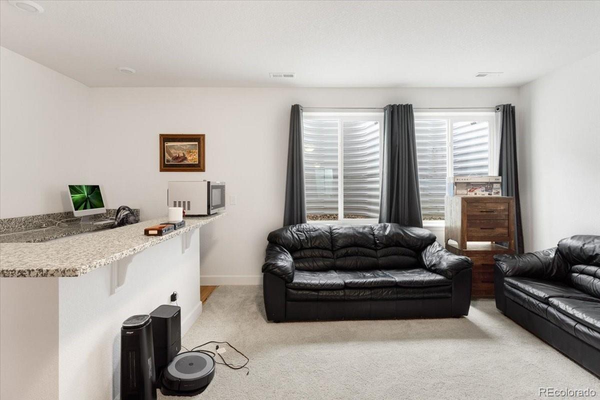 MLS Image #22 for 17247 e 103rd avenue,commerce city, Colorado