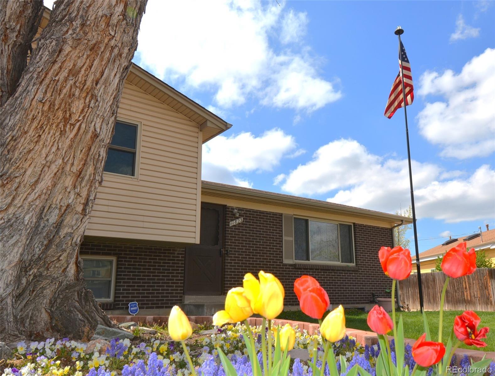 MLS Image #32 for 11823  williams way,northglenn, Colorado
