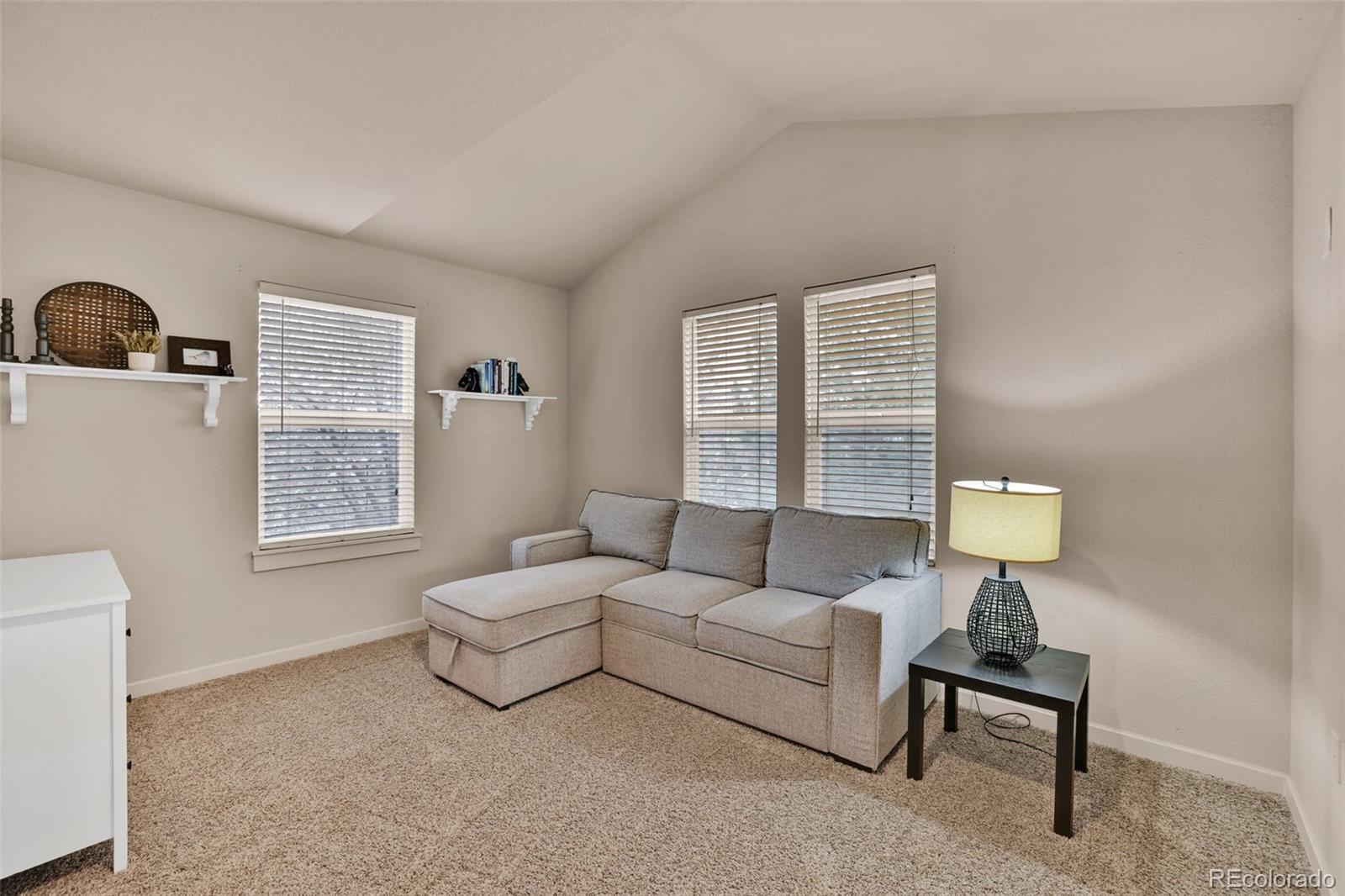 MLS Image #17 for 16453  homestead court,parker, Colorado