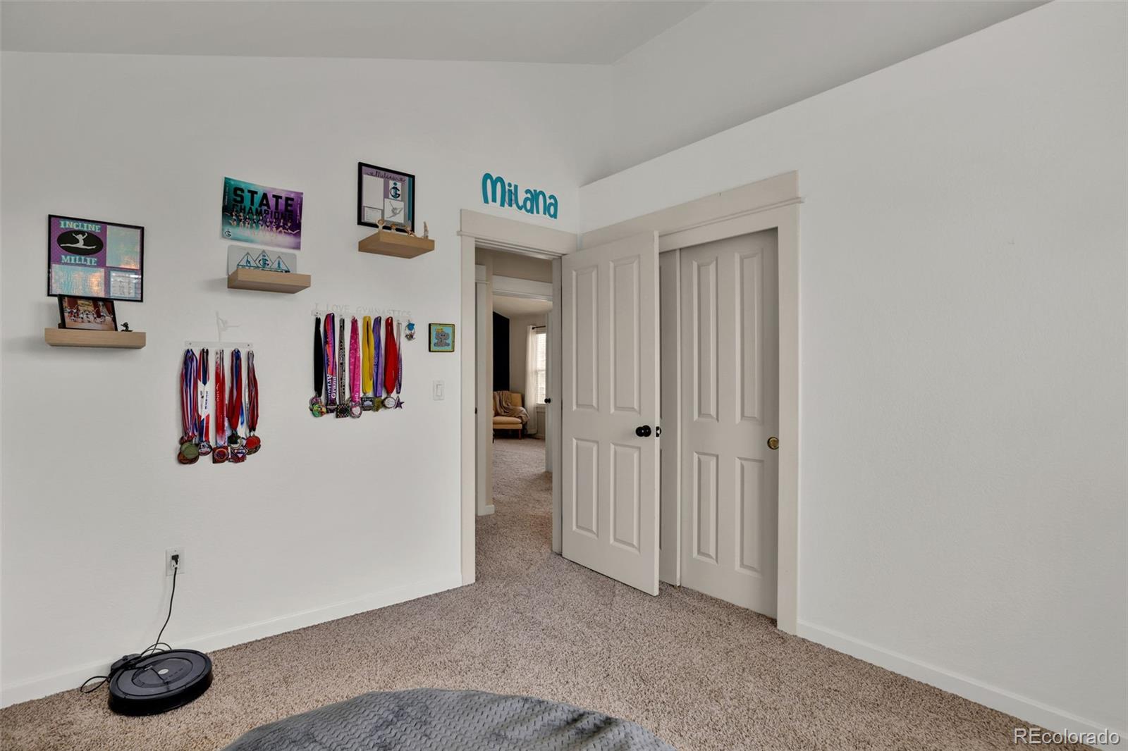 MLS Image #28 for 16453  homestead court,parker, Colorado