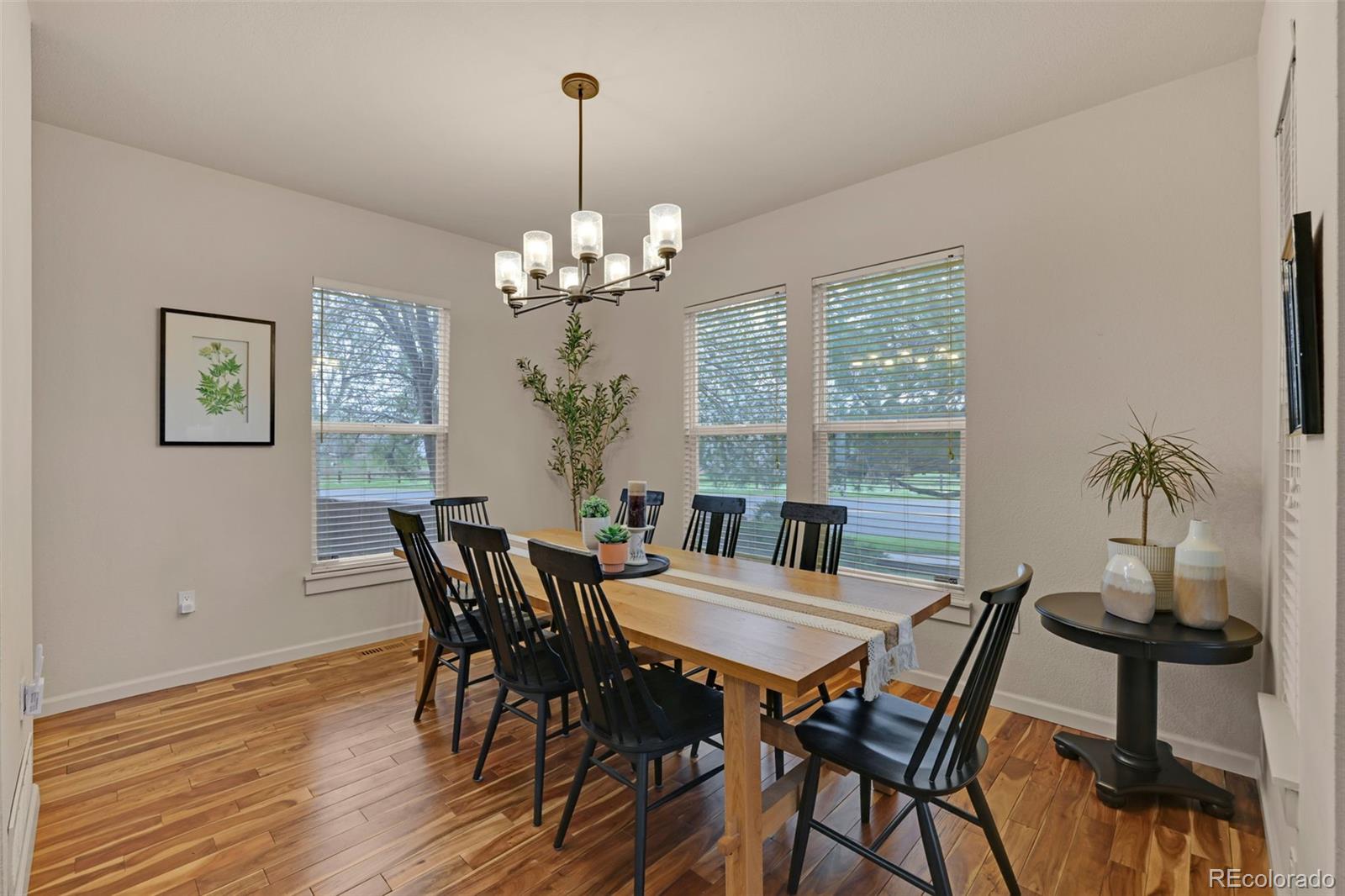 MLS Image #6 for 16453  homestead court,parker, Colorado