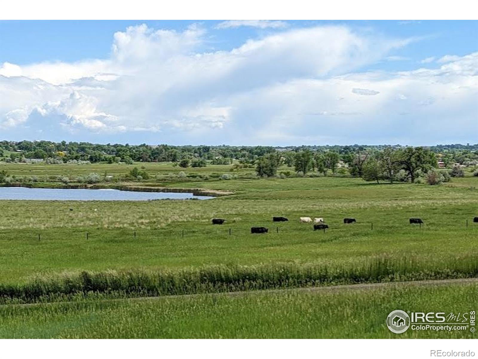 MLS Image #2 for 11251  lookout drive,longmont, Colorado