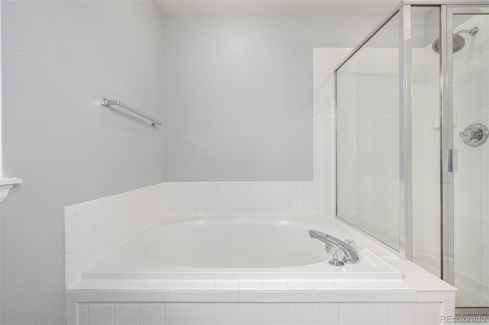 MLS Image #24 for 1041  riddlewood road,highlands ranch, Colorado
