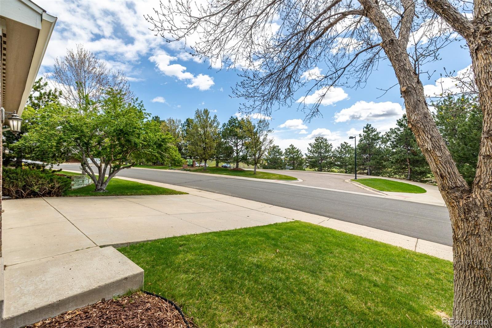 MLS Image #5 for 1041  riddlewood road,highlands ranch, Colorado