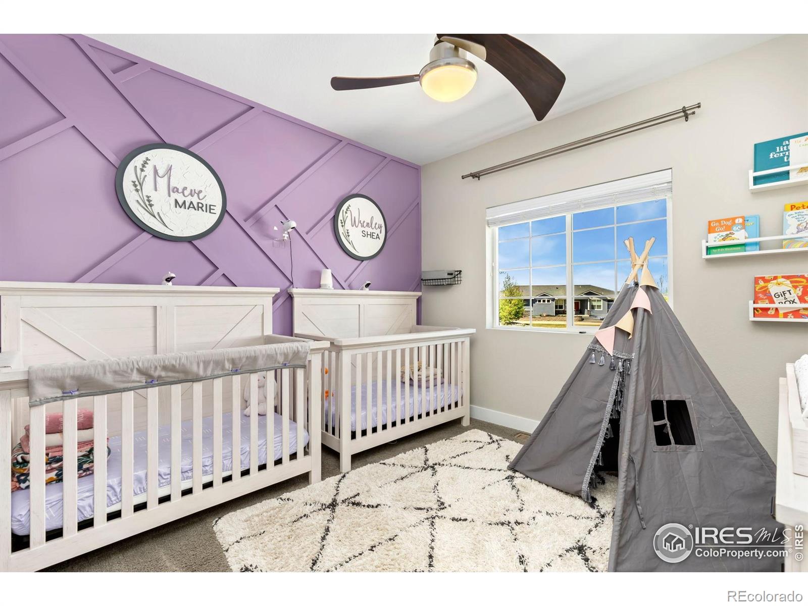 MLS Image #9 for 11500 e 162nd drive,brighton, Colorado