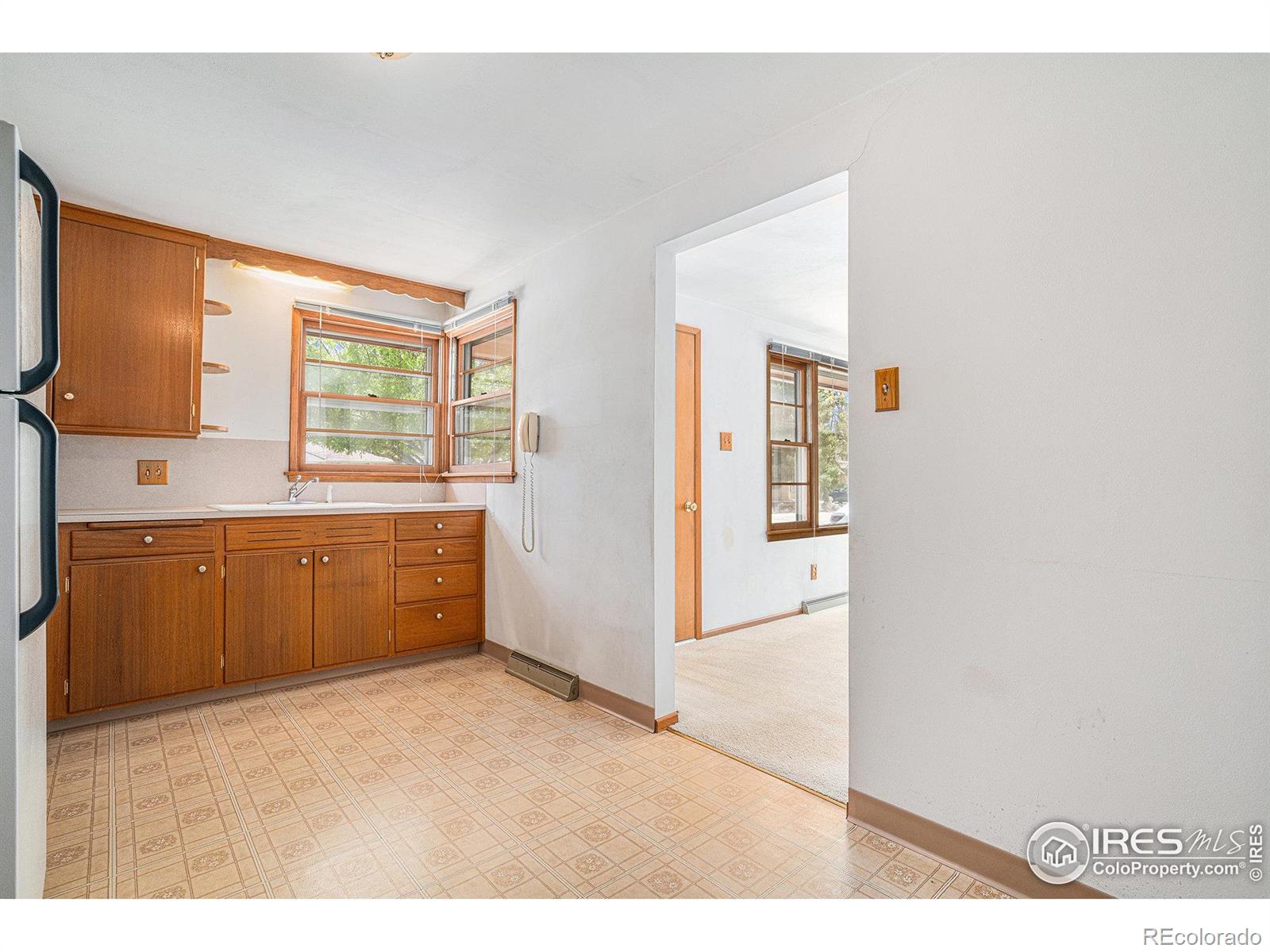 MLS Image #11 for 1153  lincoln street,longmont, Colorado